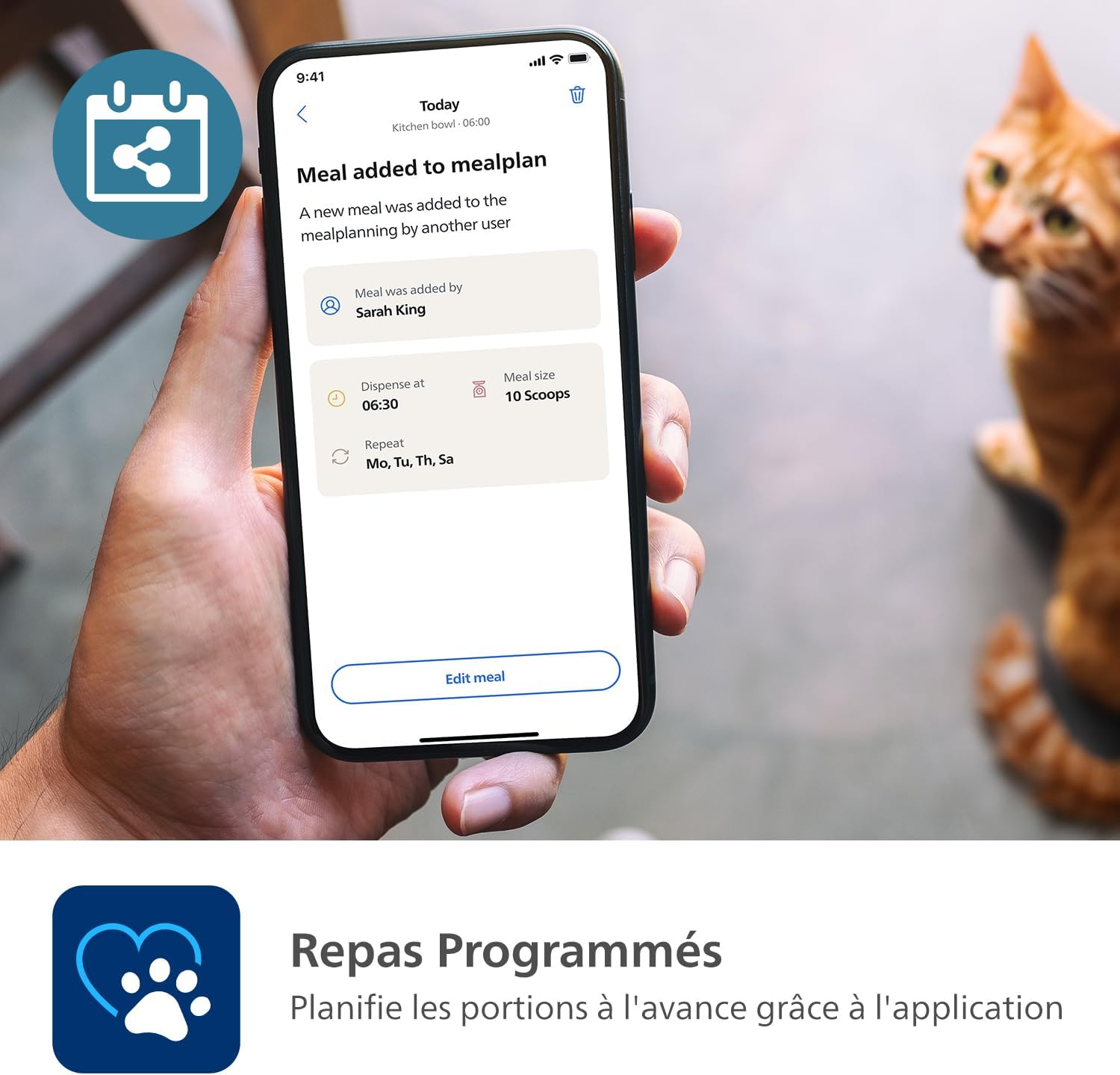 Personne utilisant l’application Philips Pet Series sur smartphone pour programmer un repas.