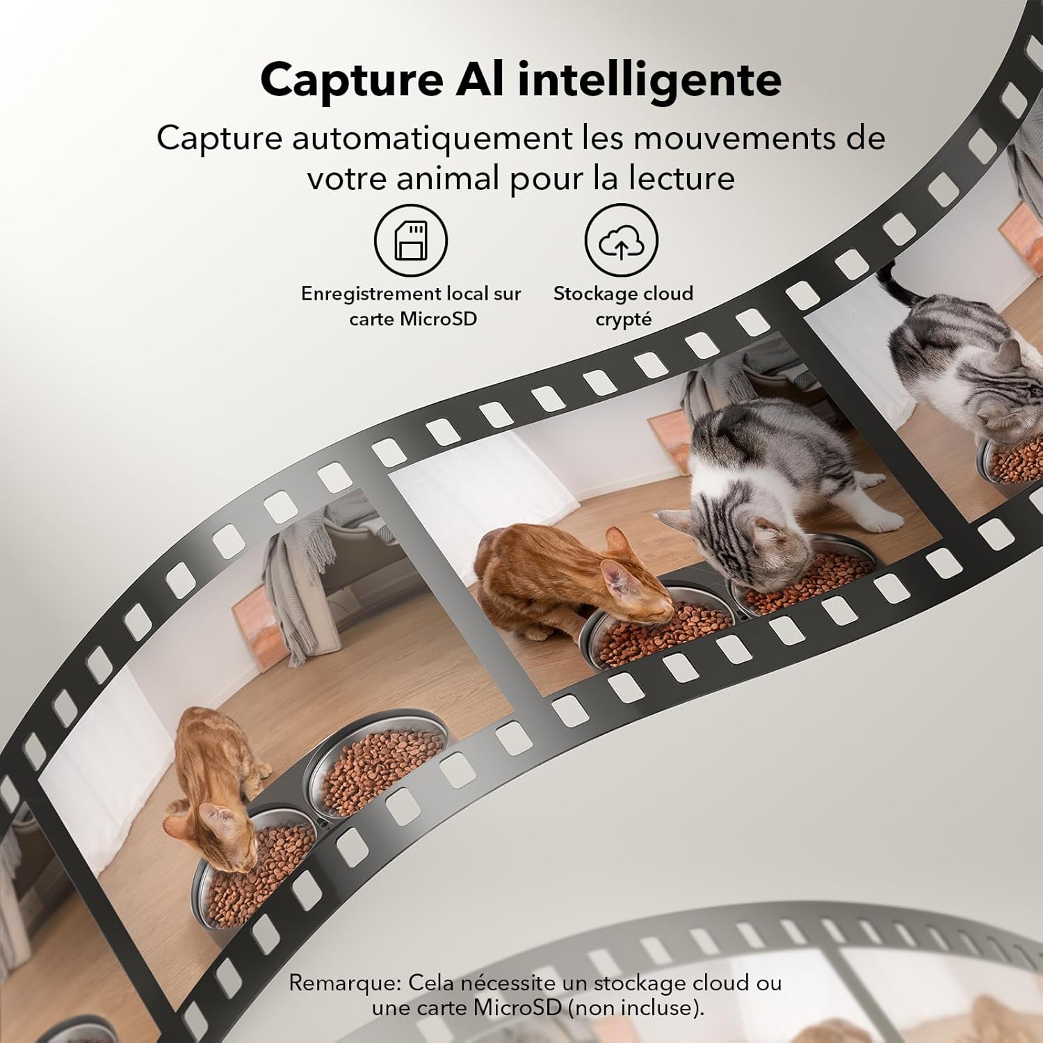 Double bol acier du distributeur connecté proprement aligné sur tapis antidérapant pour chats.  Q