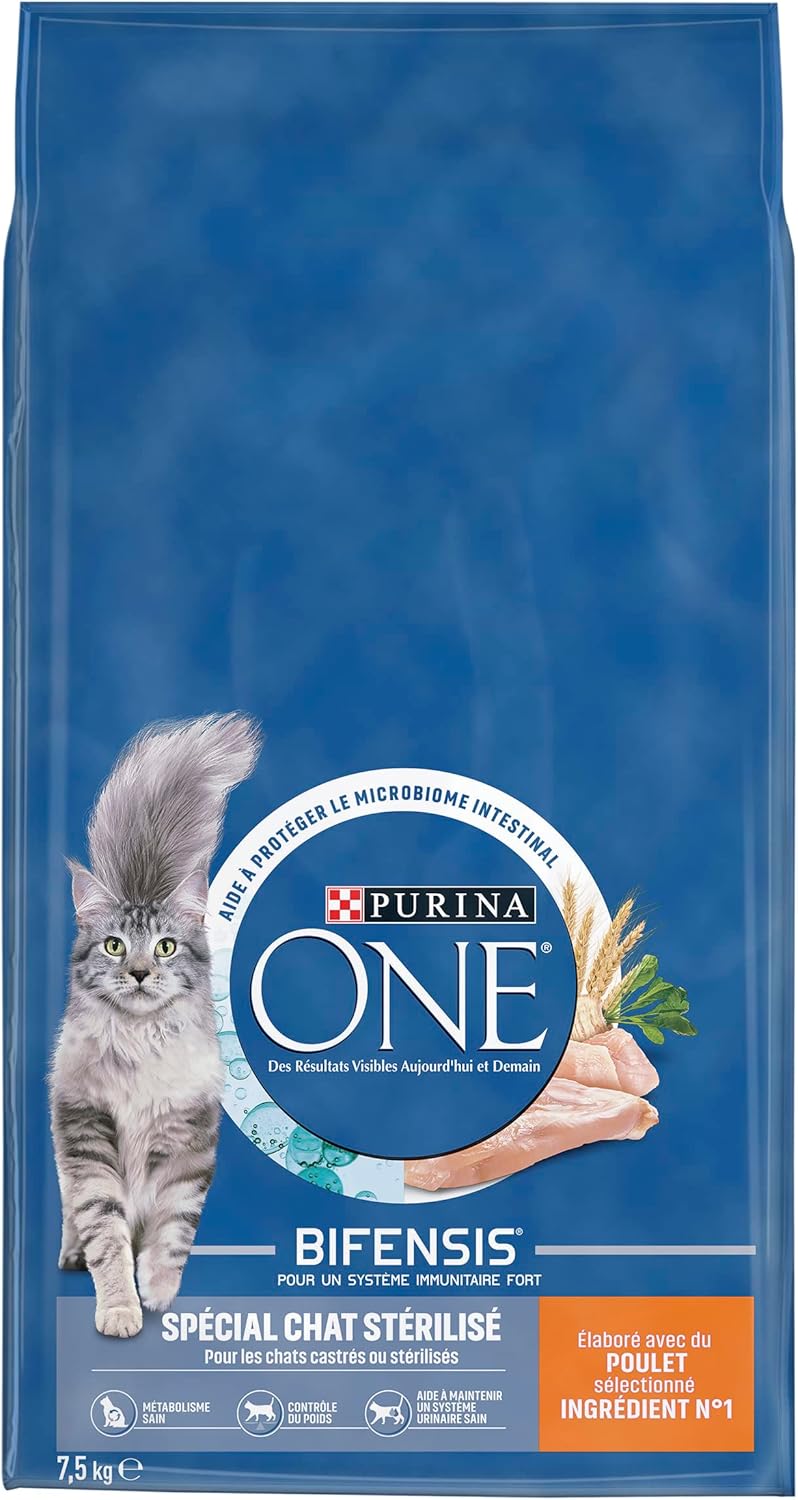 Chat adulte dégustant les croquettes Purina sur fond lumineux.