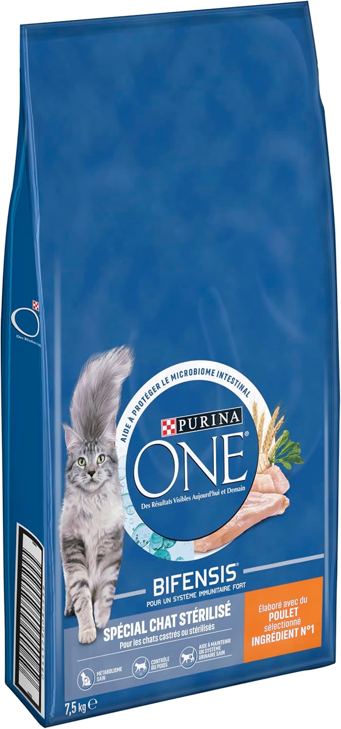 croquettes Purina One posée sur un sol propre