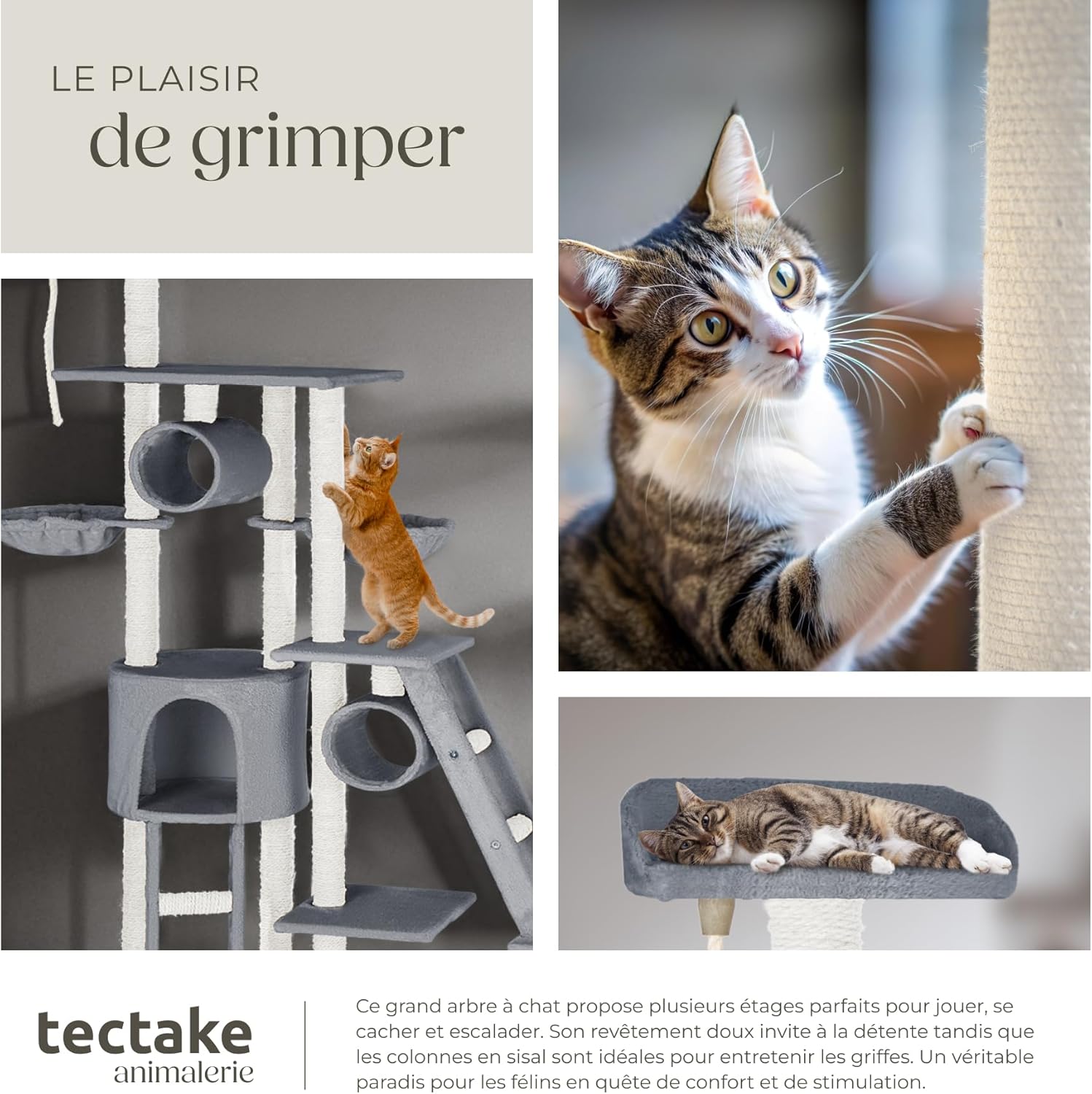 Arbre à Chat XXL