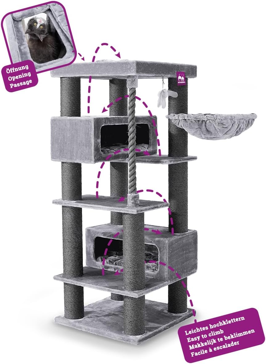 Vue générale de l’arbre à chat géant gris dans un espace lumineux.