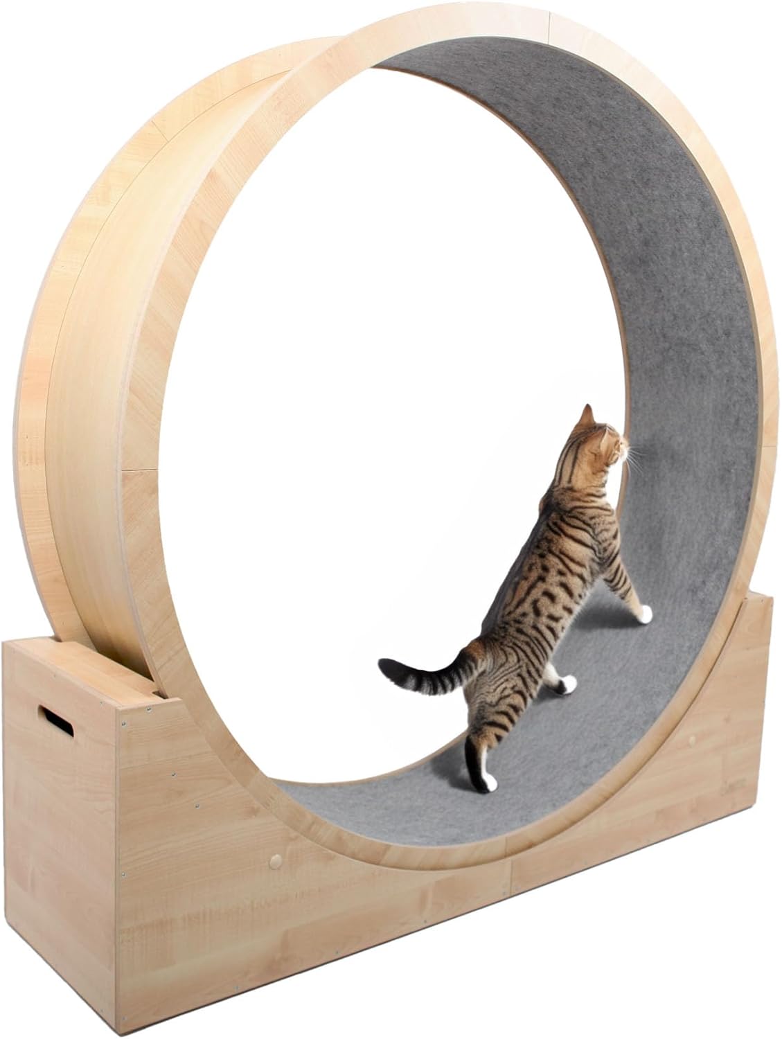 Chat courant sur roue Elmato silencieuse en bois, fitness et bien-être félin.