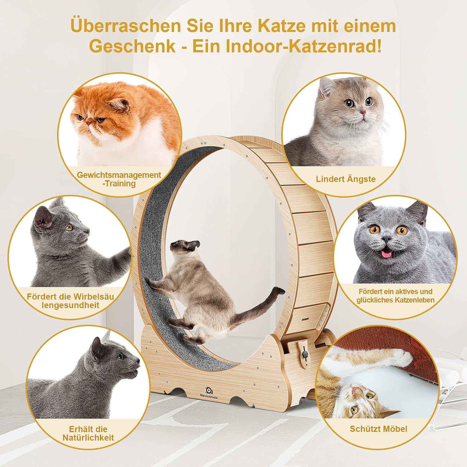 Chat courant librement dans la roue Naviconvex 135 cm bois naturel intérieur