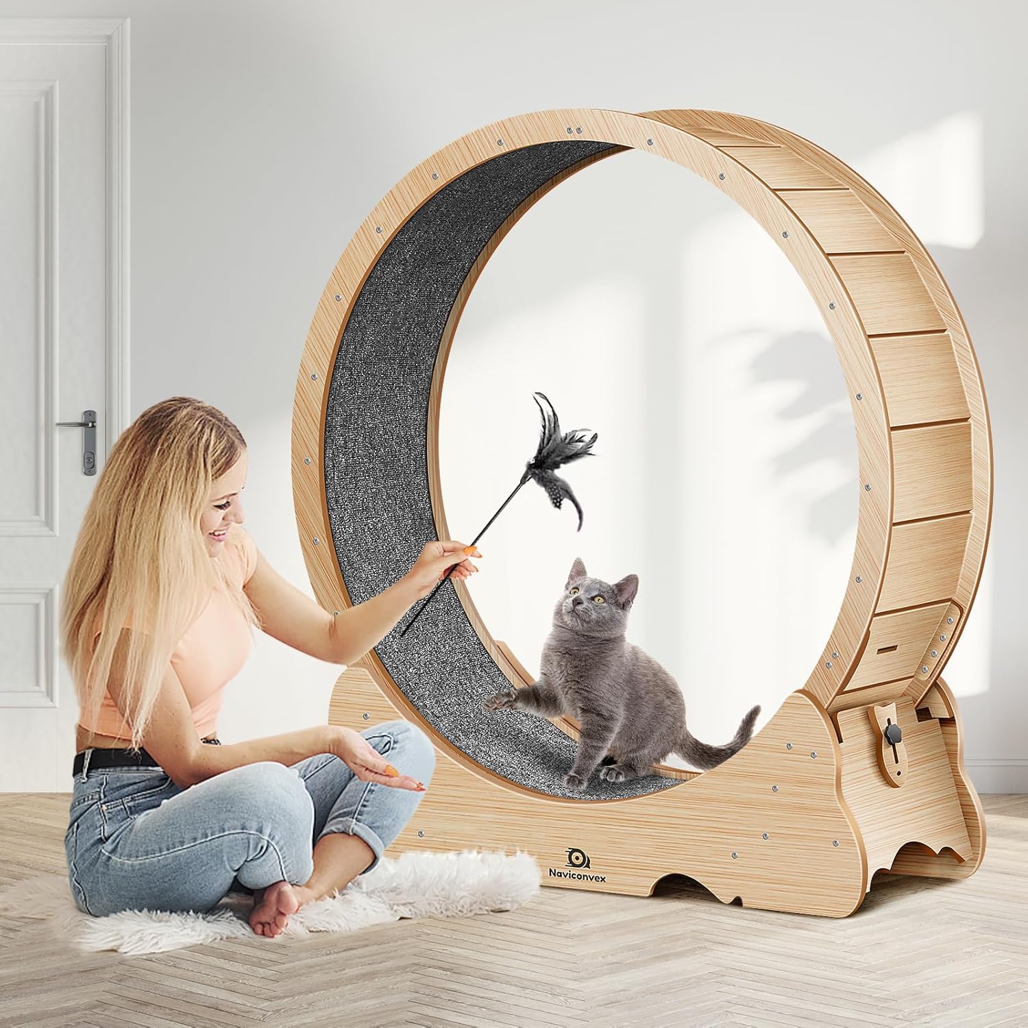 Chat utilisant roue Naviconvex stable et silencieuse pour exercice physique