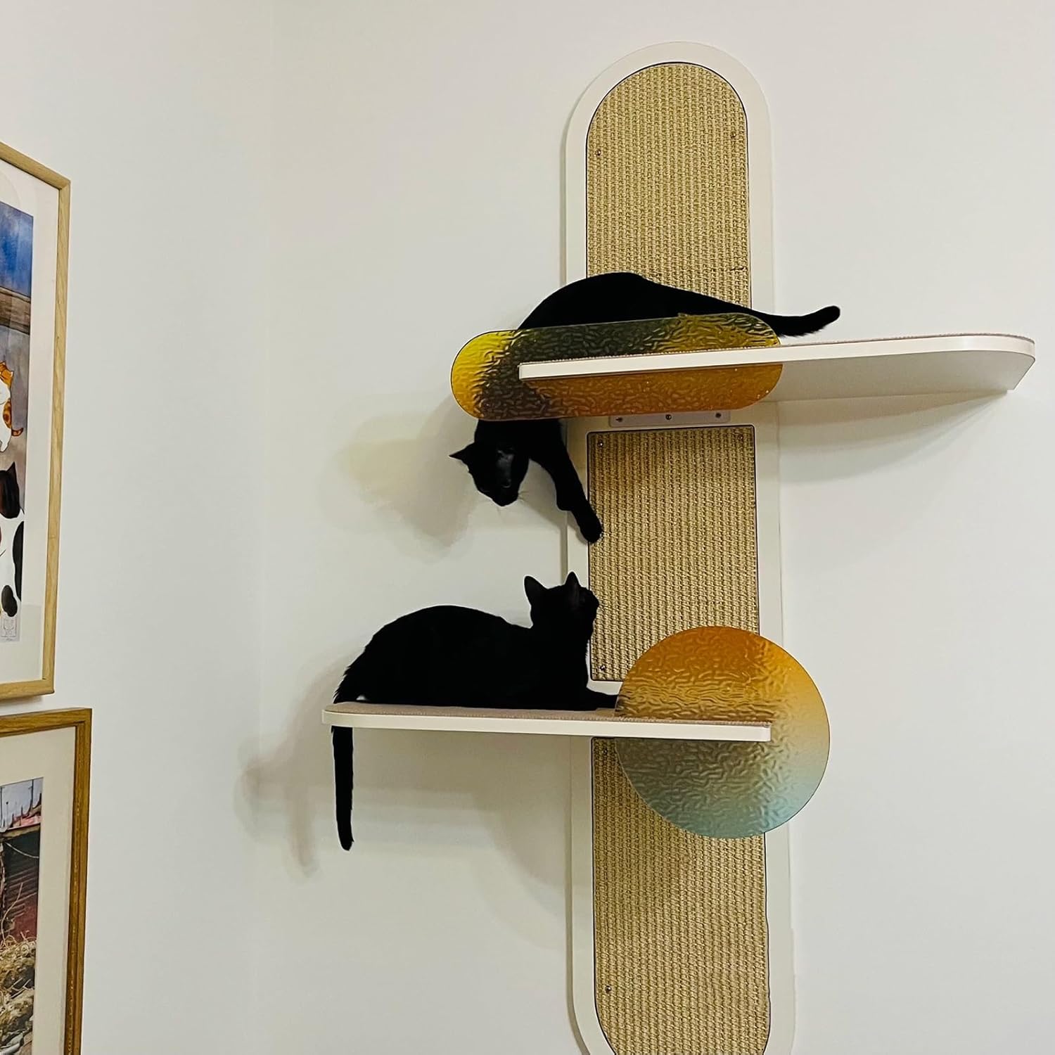 Chat adulte perché sur une étagère murale design, utilisant le griffoir intégré.