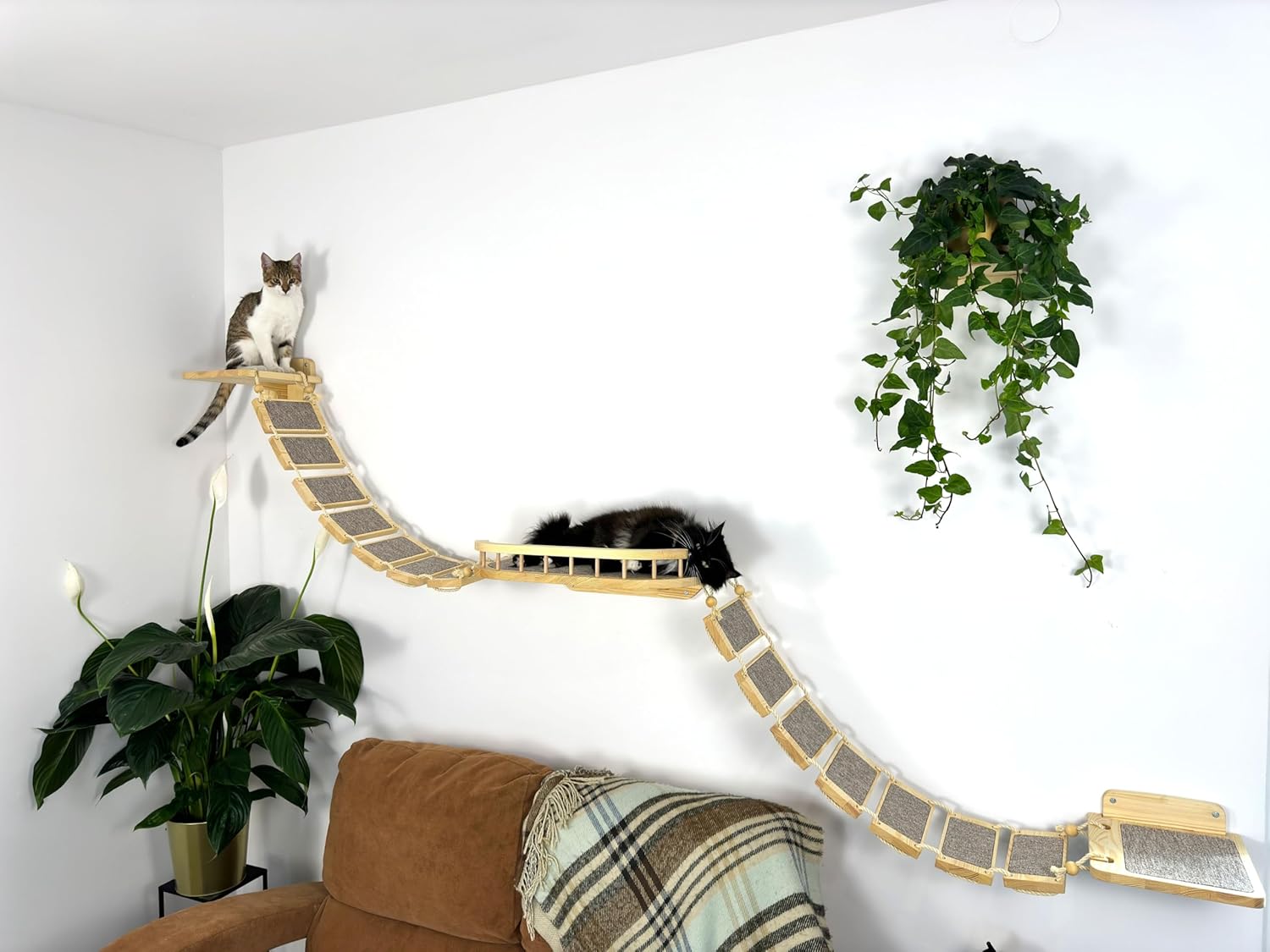 Chat perché sur étagère murale avec tapis antidérapant, partie d’un mur d’escalade RshPets moderne.