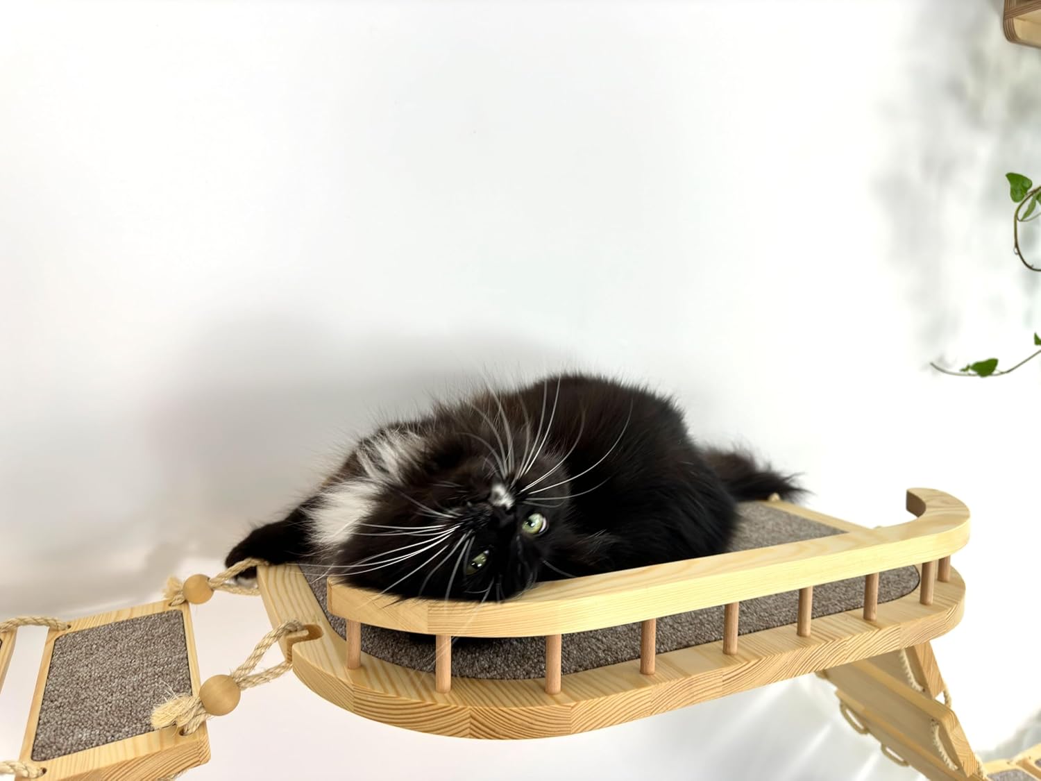 Ensemble mural pour chat composé de ponts en bois de pin, étagères et échelle en sisal naturel.