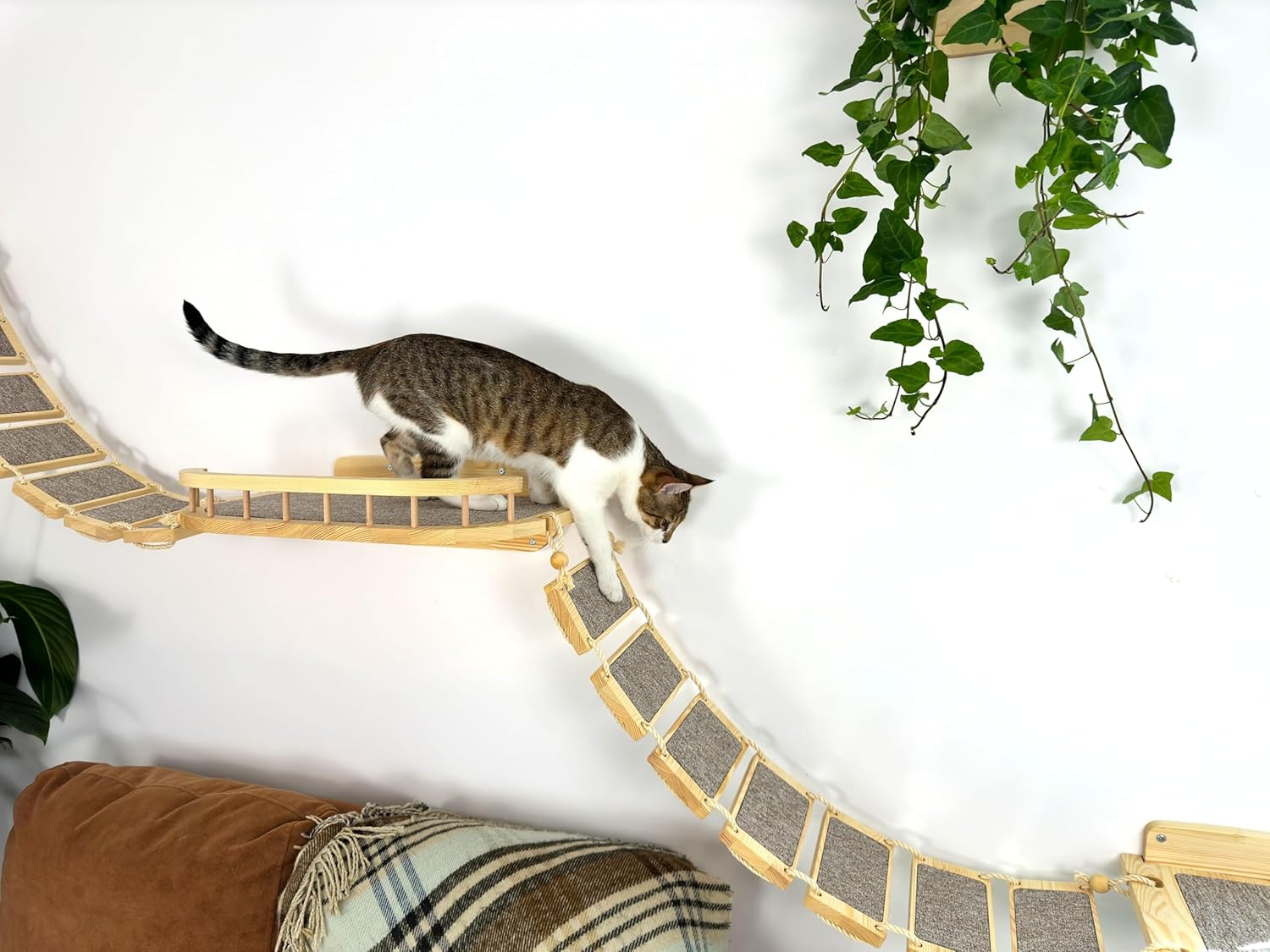 Chat jouant sur un escalier mural en bois de bouleau avec brosse à gratter en sisal naturel.