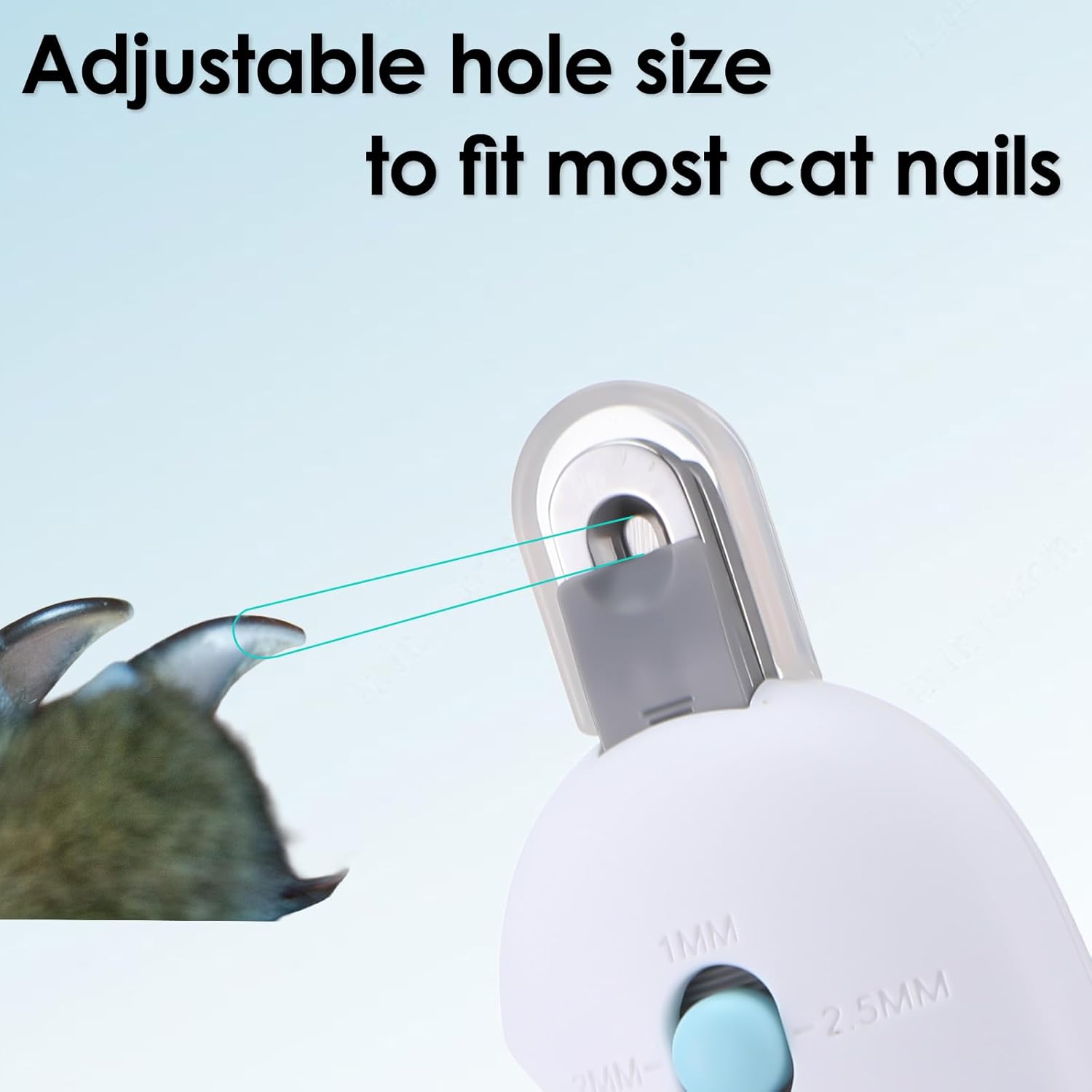 Manche confortable coupe-ongles pour chiots et chatons
