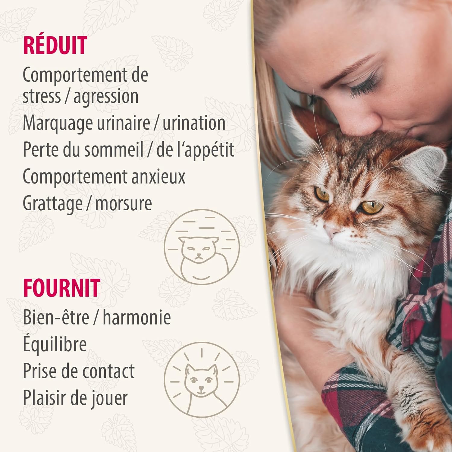 Ambiance relaxante grâce au diffuseur herbe à chat Felisept