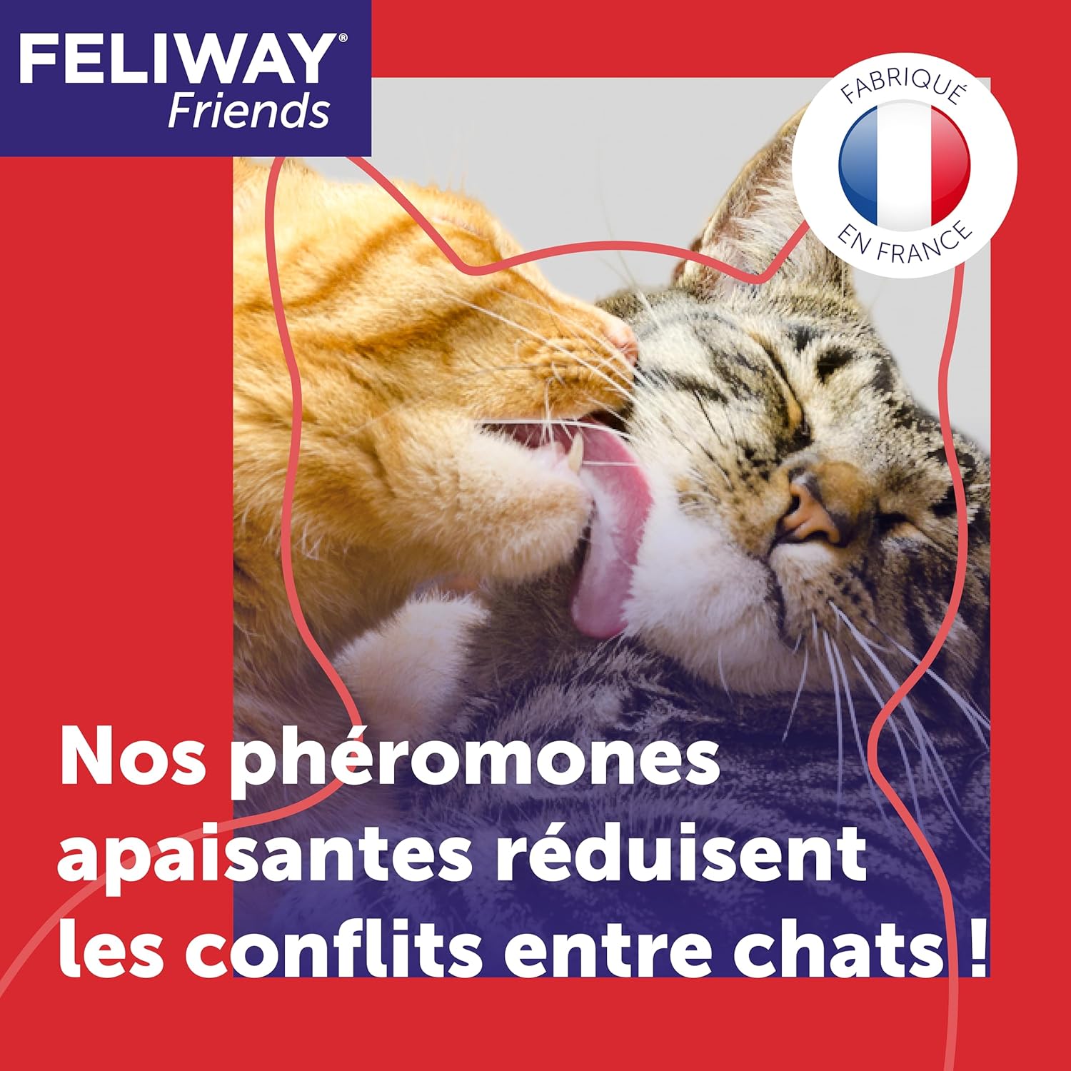 Installation simple du diffuseur FELIWAY Friends dans une pièce fréquentée par les chats
