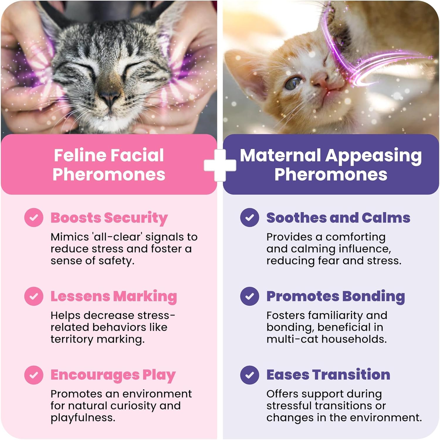 Environnement apaisant pour chat et chaton grâce au diffuseur de phéromones approuvé vétérinaire