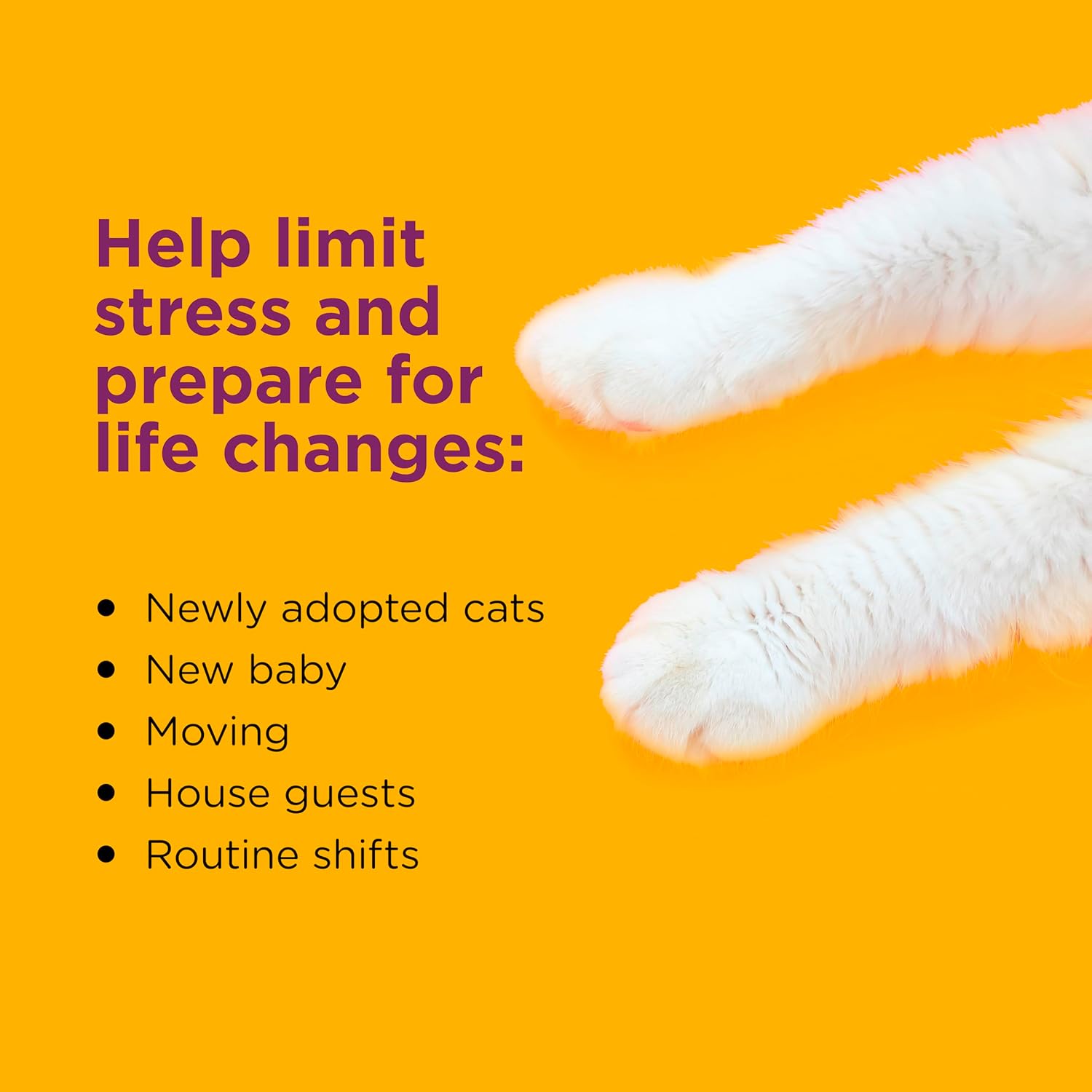 Kit anti-griffures et pulvérisations pour chat Comfort Zone