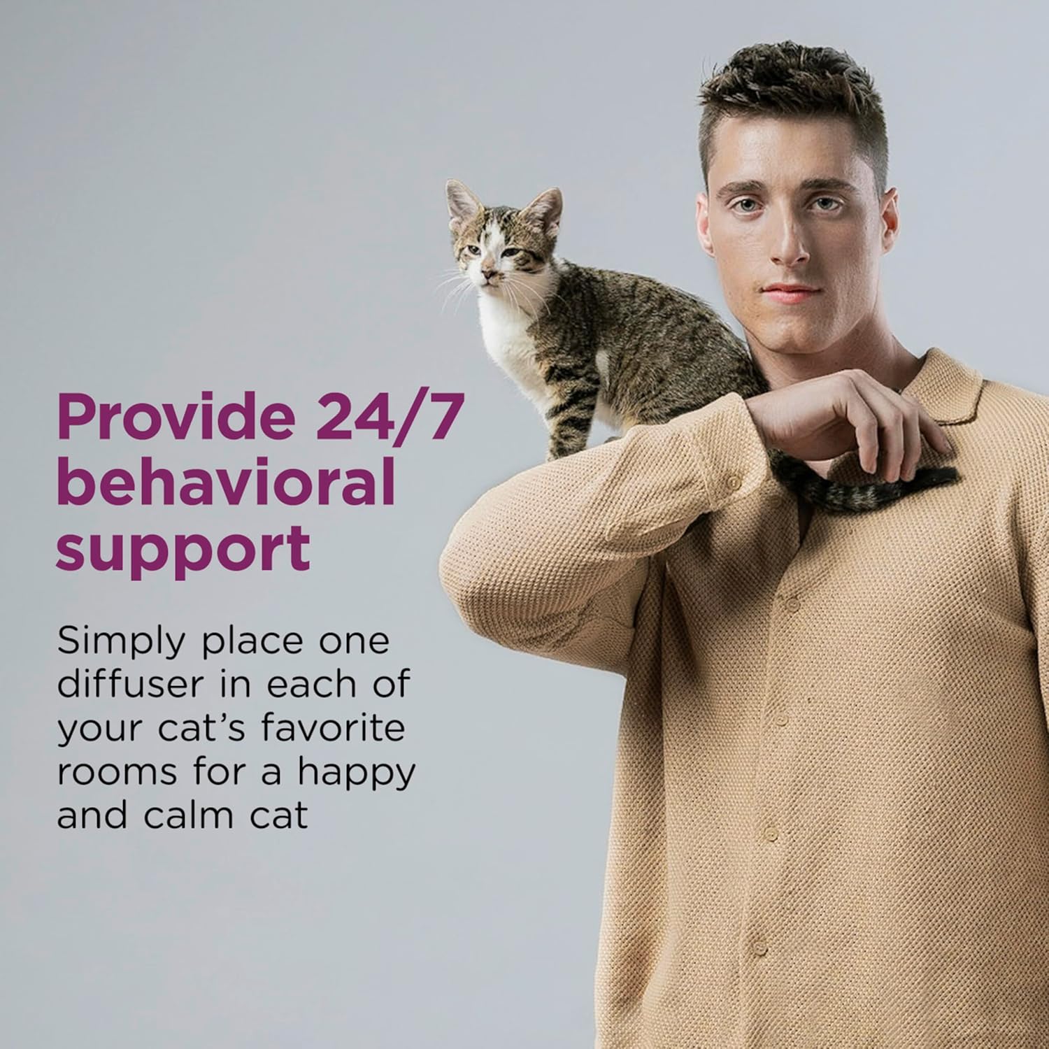Solution comportementale Comfort Zone pour chat en stress prolongé