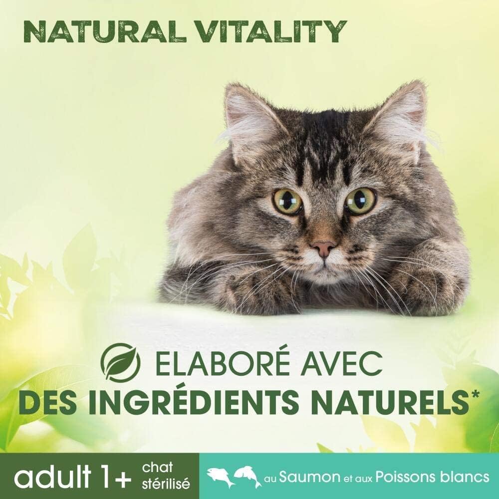 Croquettes naturelles sain, pelage chat, stérilisé, saumon, poissons blancs