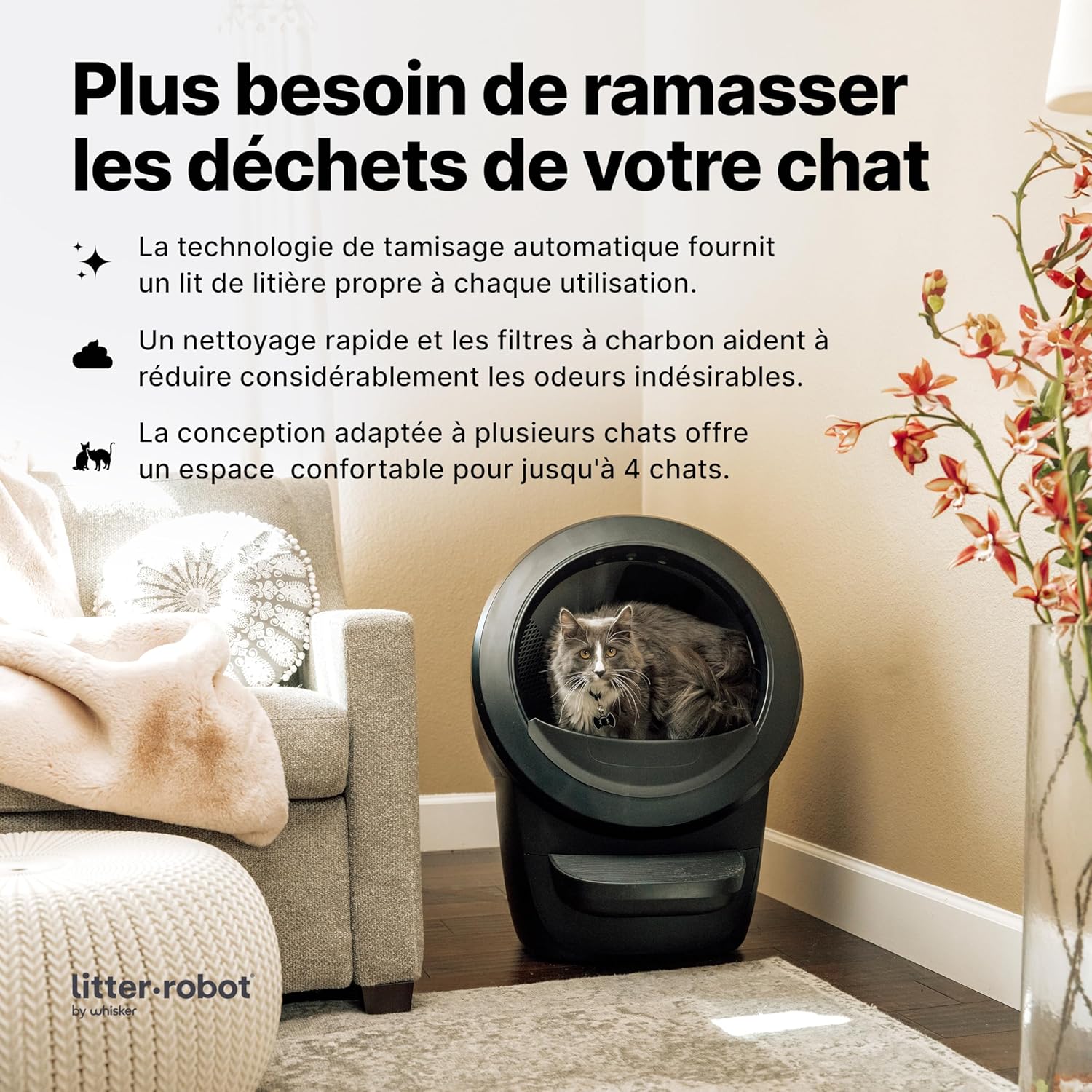 Interface d’application Whisker affichant les notifications et données d’utilisation de plusieurs chats
