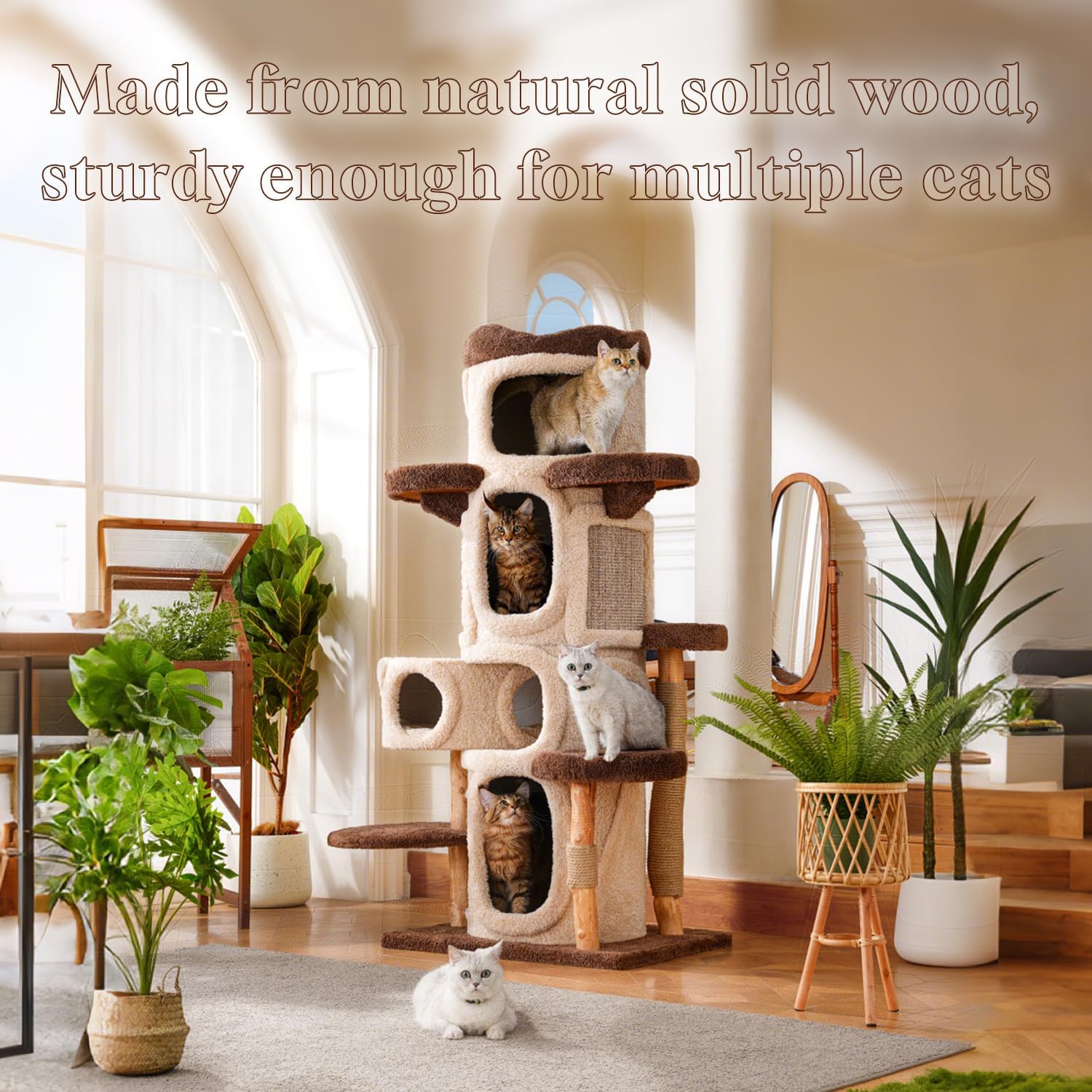 Grande niche rond bois naturel 50,8 cm diamètre sur arbre à chat KZLAA