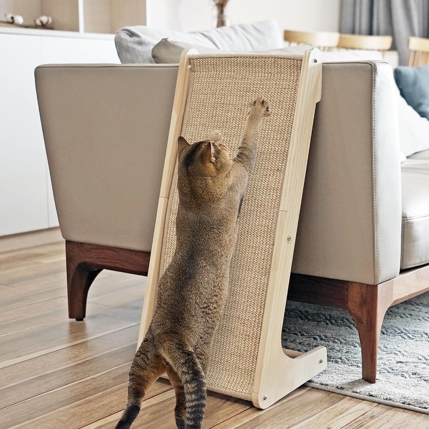 Rampe antigriffures inclinée à 20° pour chats toutes tailles