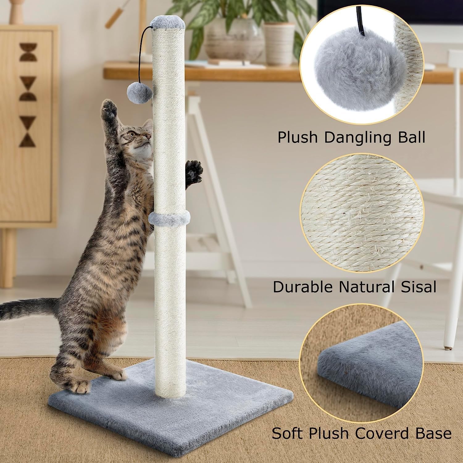 Chat jouant avec balle suspendue sur griffoir Dimaka