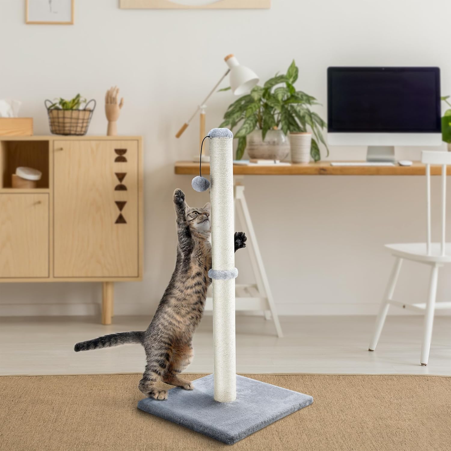 Poteau à griffer stable avec base large anti-basculement