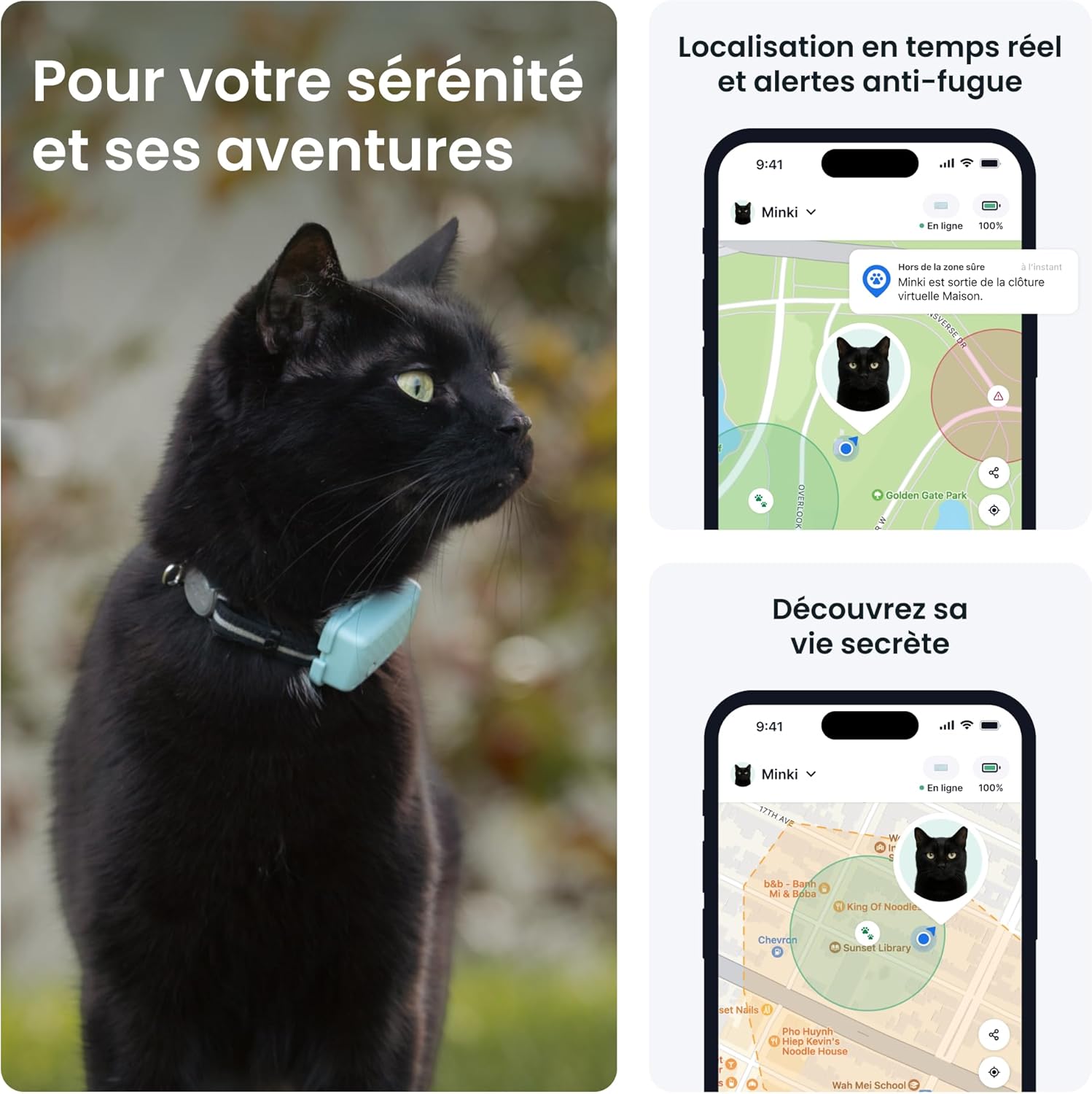 Comparatif collier GPS chat Tractive Mini vs collier classique identifiant
