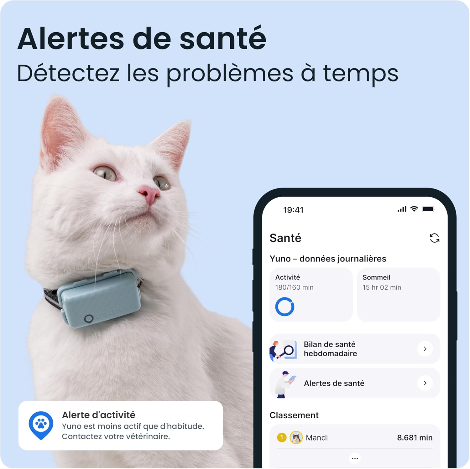 Chat avec collier GPS Tractive Mini explorant son territoire