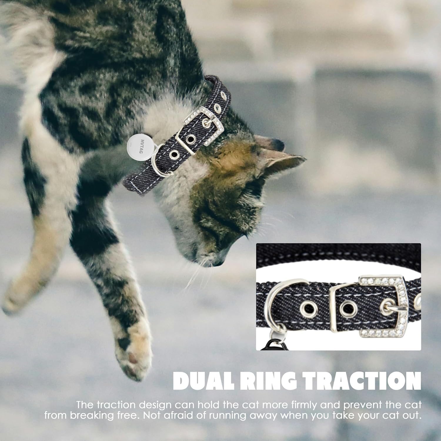 Collier GPS étanche IP67 pour chats extérieur intérieur