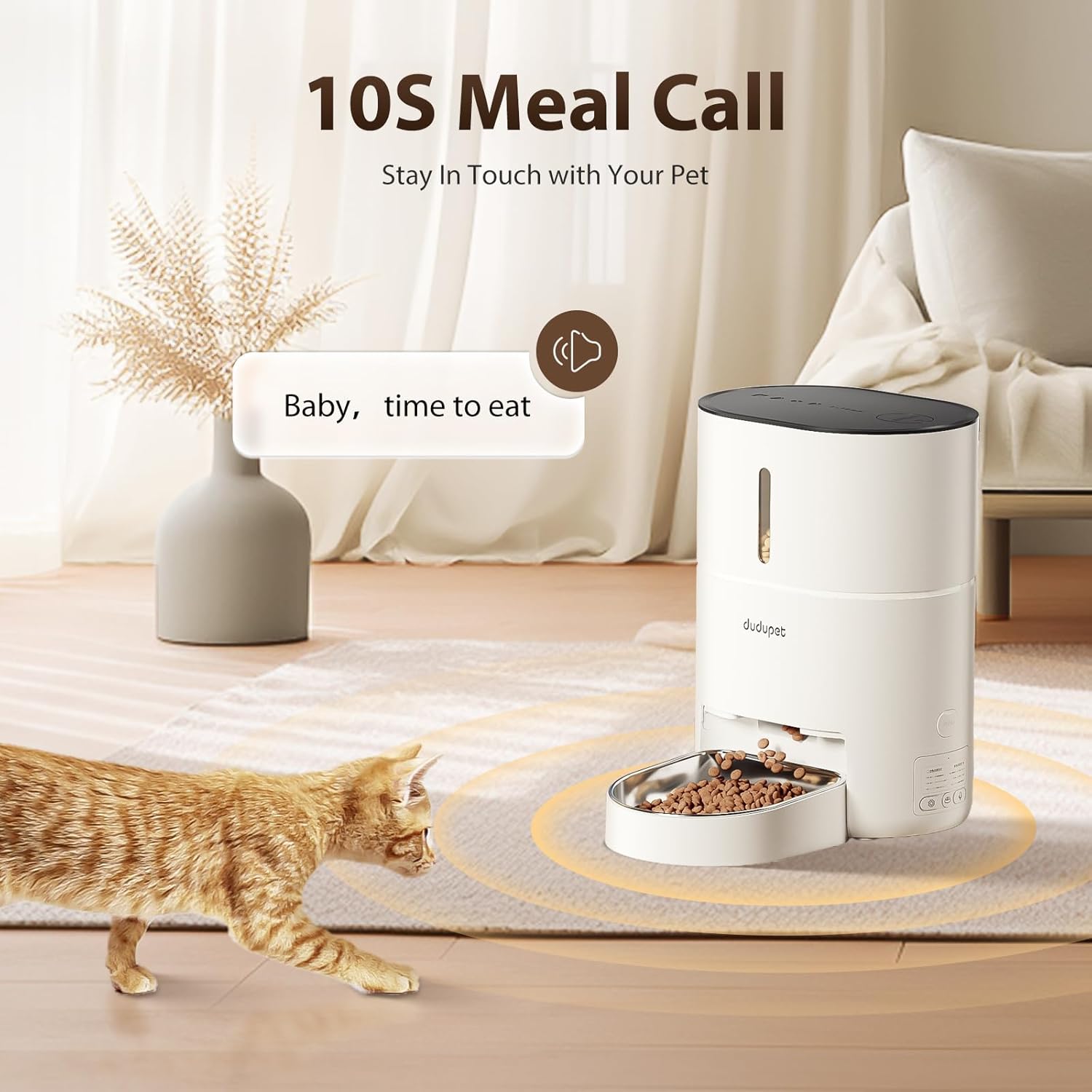 bol en acier inoxydable distributeur automatique croquettes hygiénique