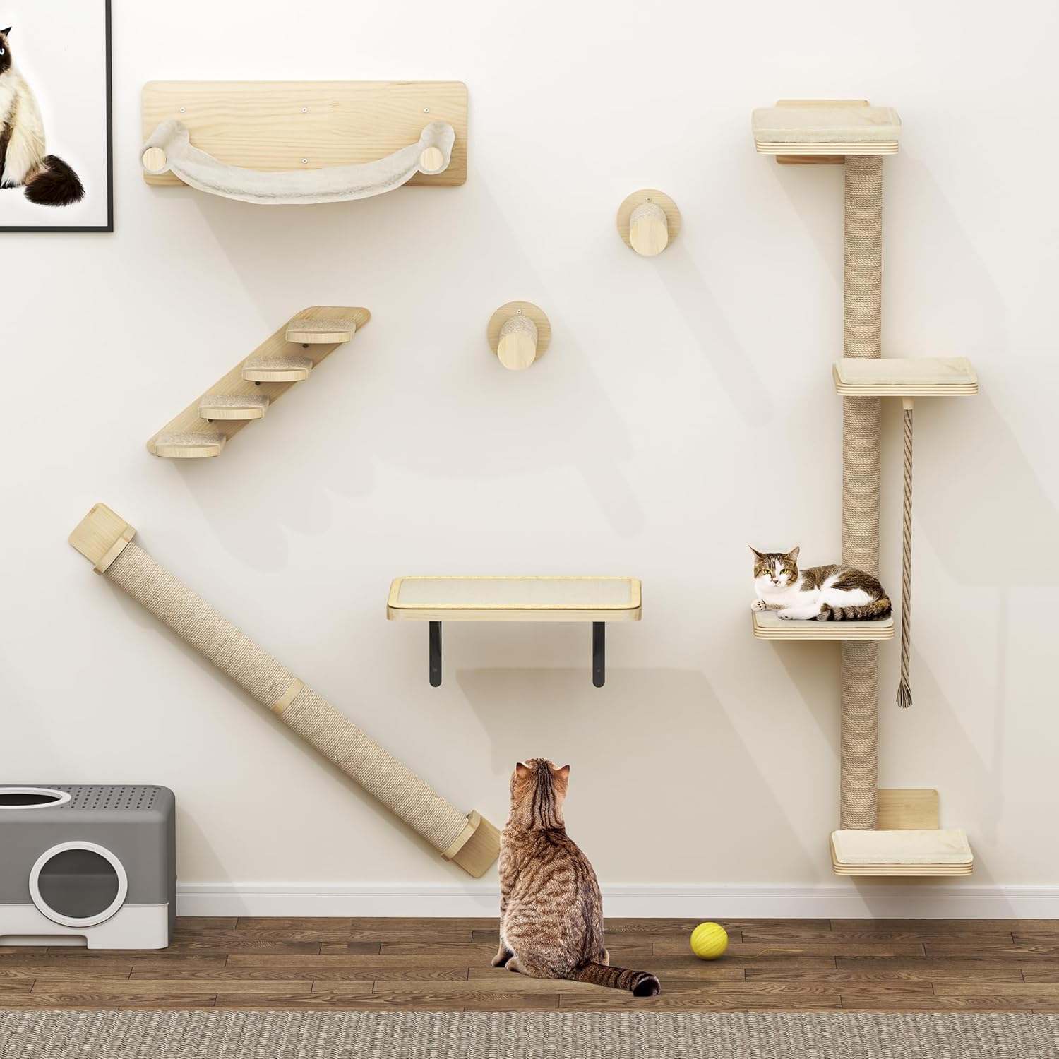 Étagère murale chat bois robuste installation DIY