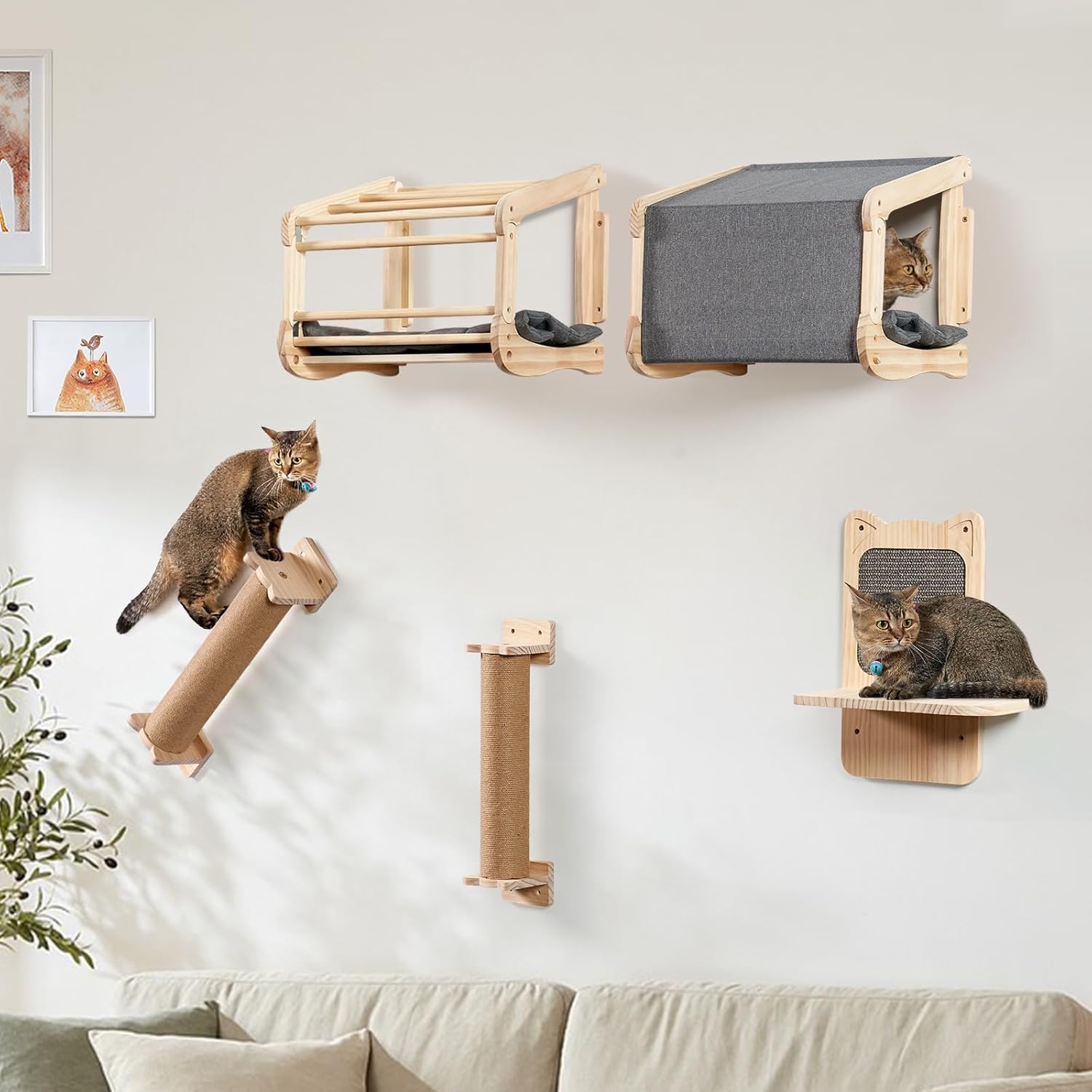 chat perché sur lit de mur d’escalade LitaiL
