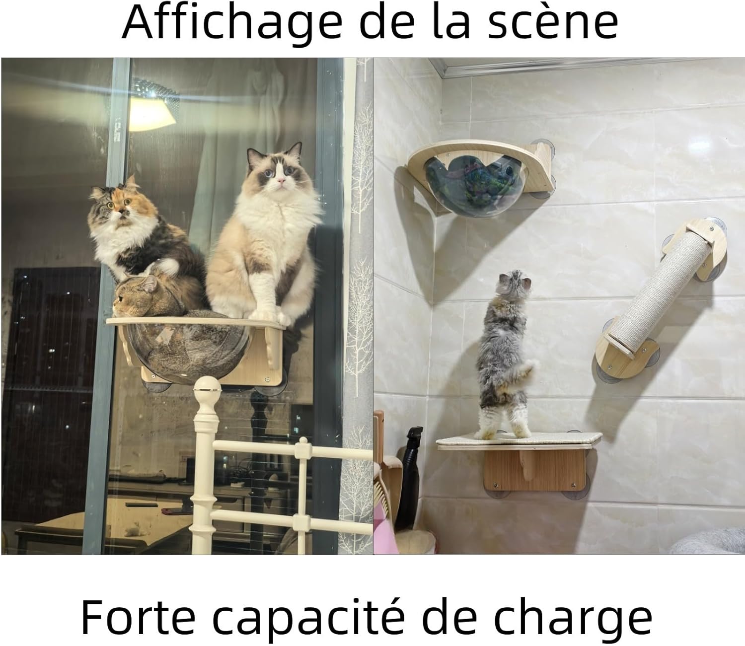 capsule spatiale pour chat observer et se reposer