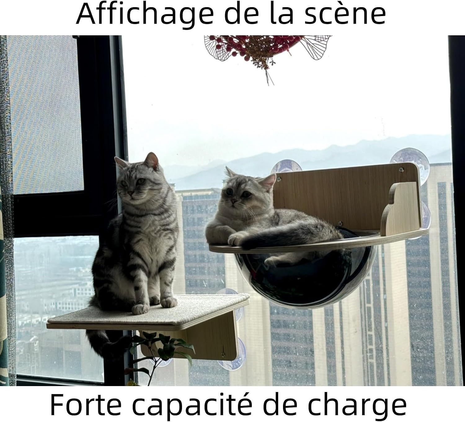 fixation par ventouses murales renforcées 20kg arbre à chat moderne