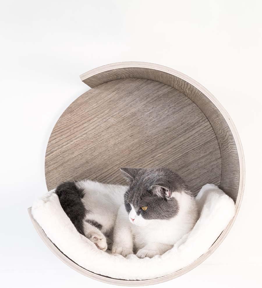 Mur d’escalade pour chats Petrebels collection Wall of Rebels