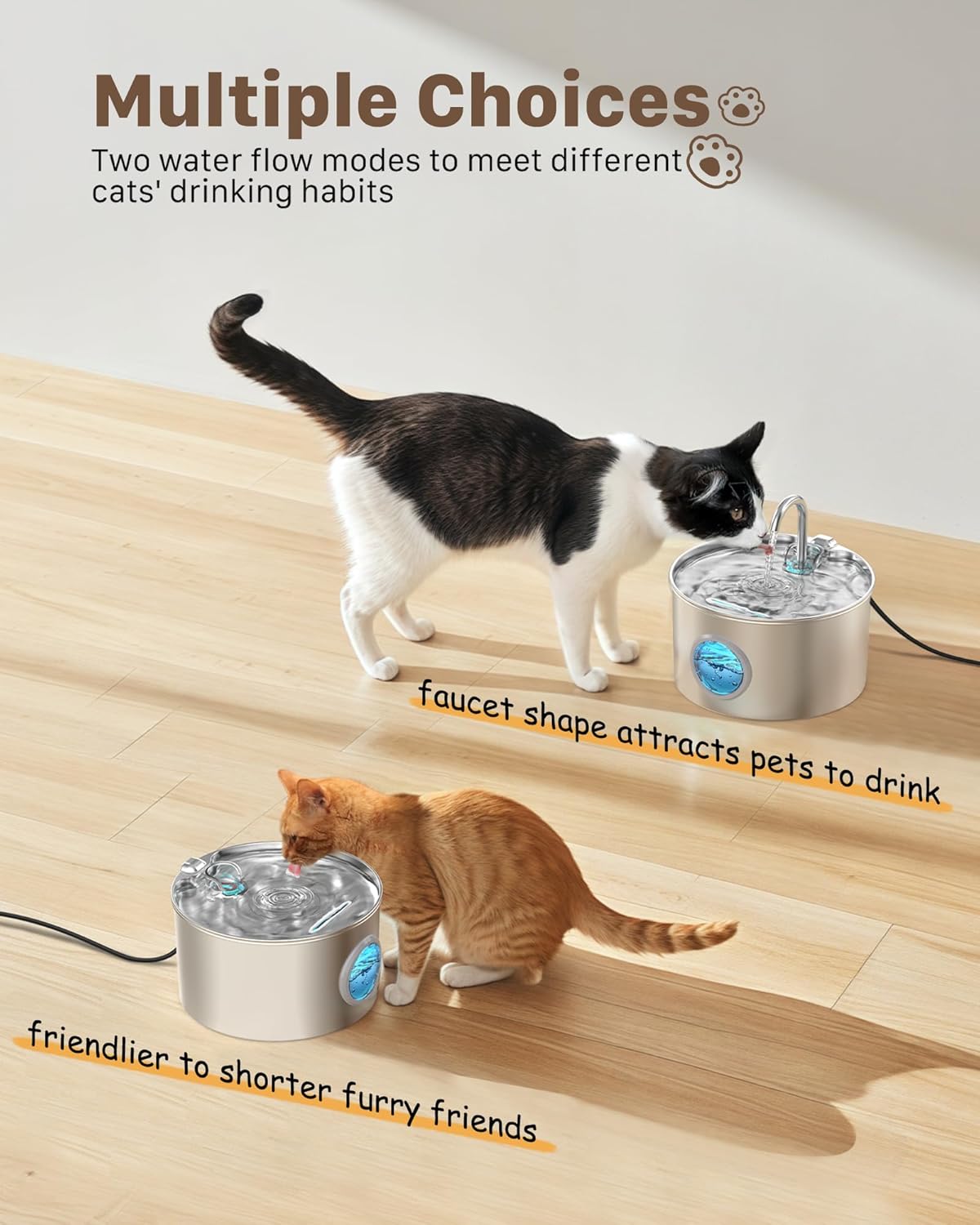 Système de filtration avancé avec filtres et éponges GIOTOHUN