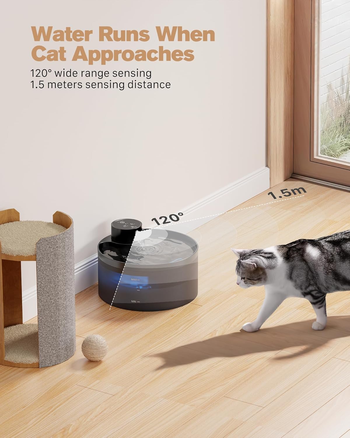 Comparatif fontaine à eau chat sans fil vs gamelle classique
