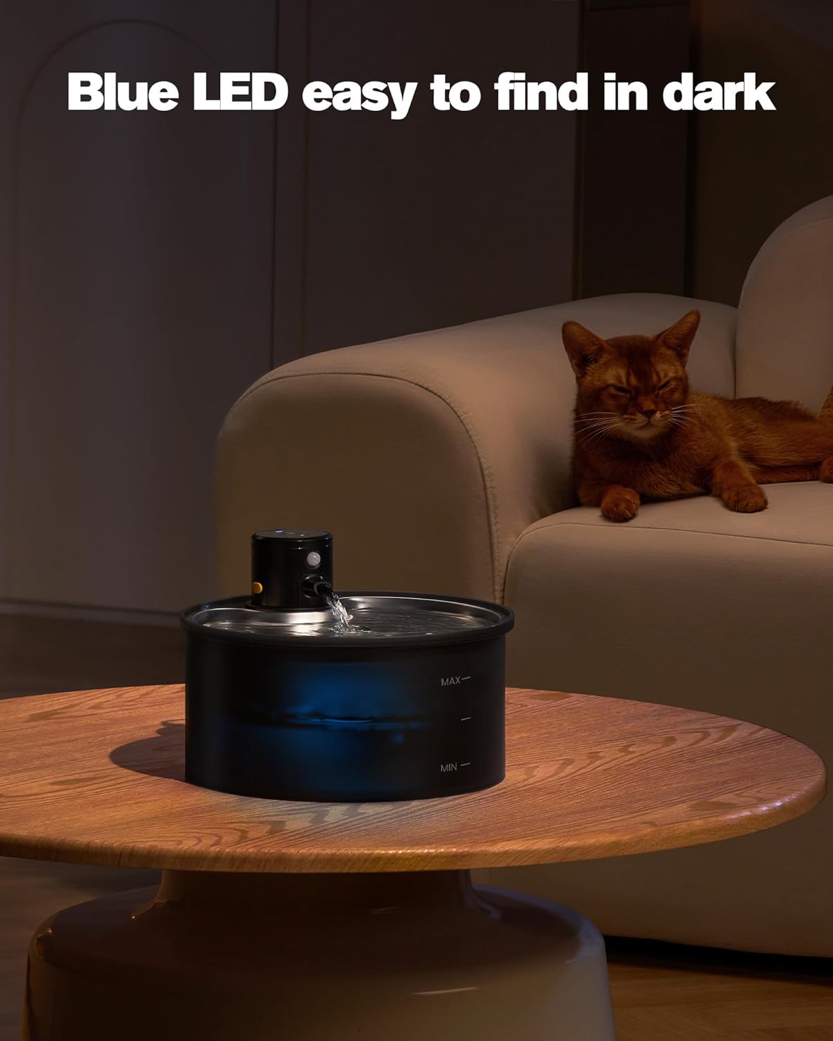 Fontaine à eau rechargeable avec plateau inox pour chat et chien