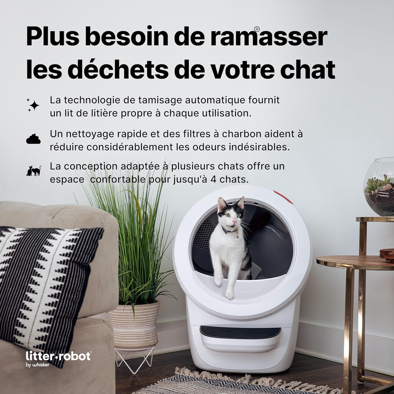 Vue intérieure du Litter-Robot 4 autonettoyant