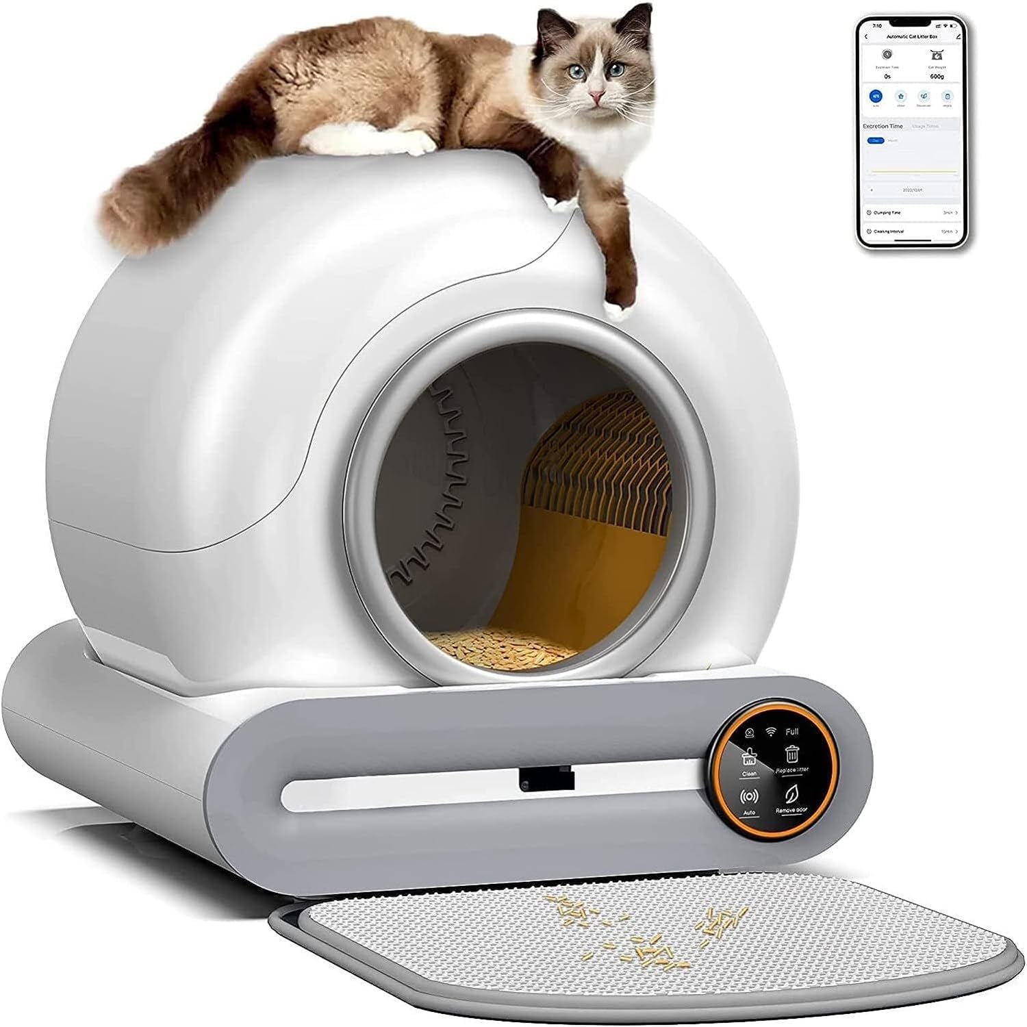 Litière sécurisée pour chats avec protection avancée et confort optimal
