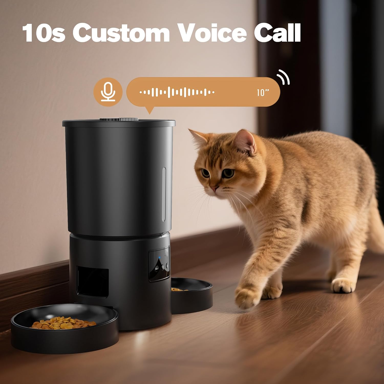Réservoir transparent 5L distributeur croquettes automatique pour chats