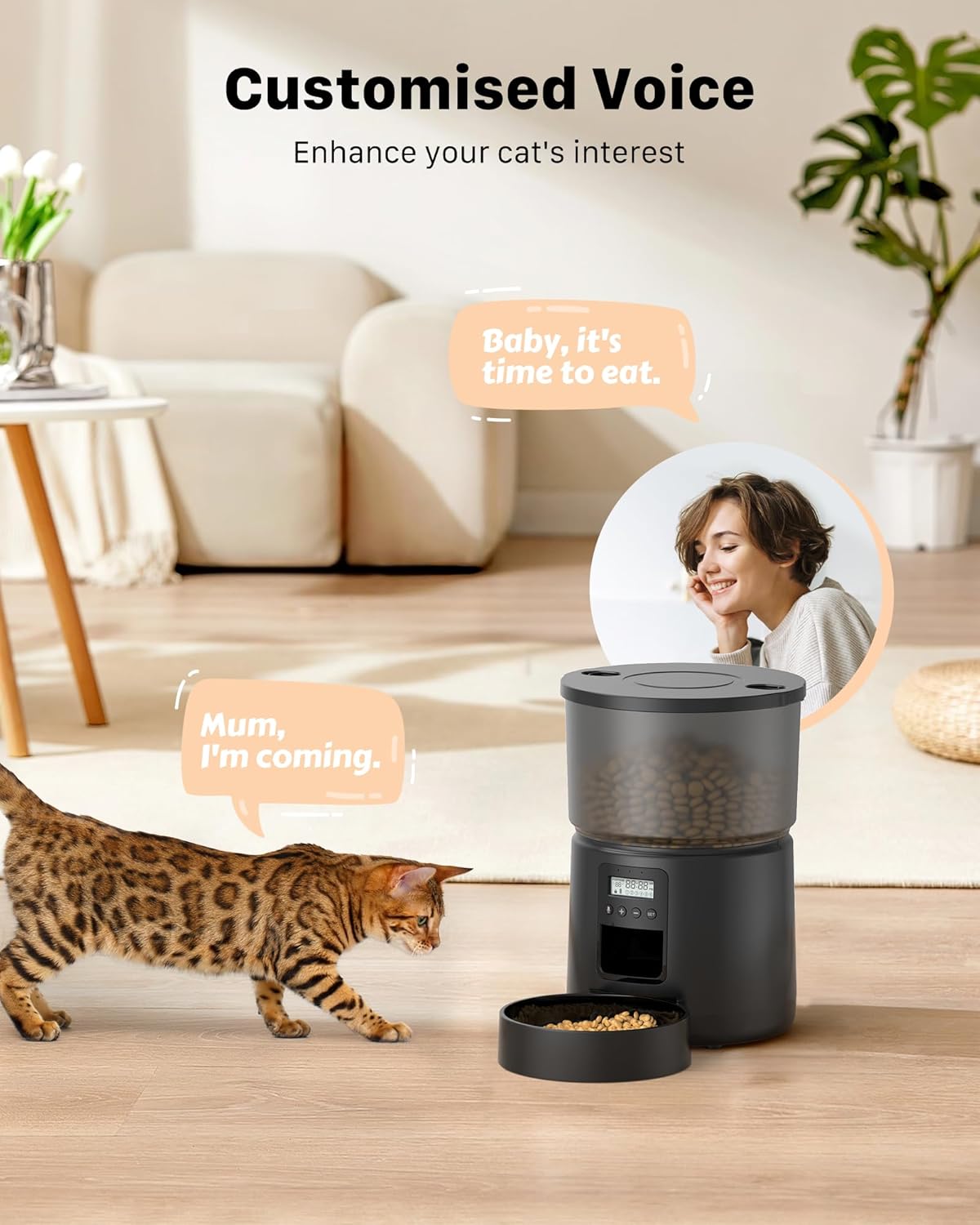 distributeur programmable chat noir grande capacité 3 litres
