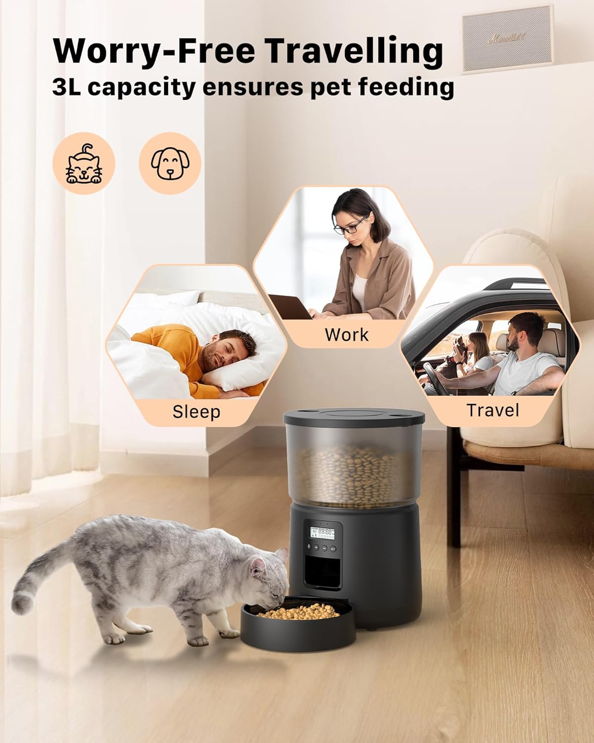 distributeur programmable chat noir grande capacité 3 litres