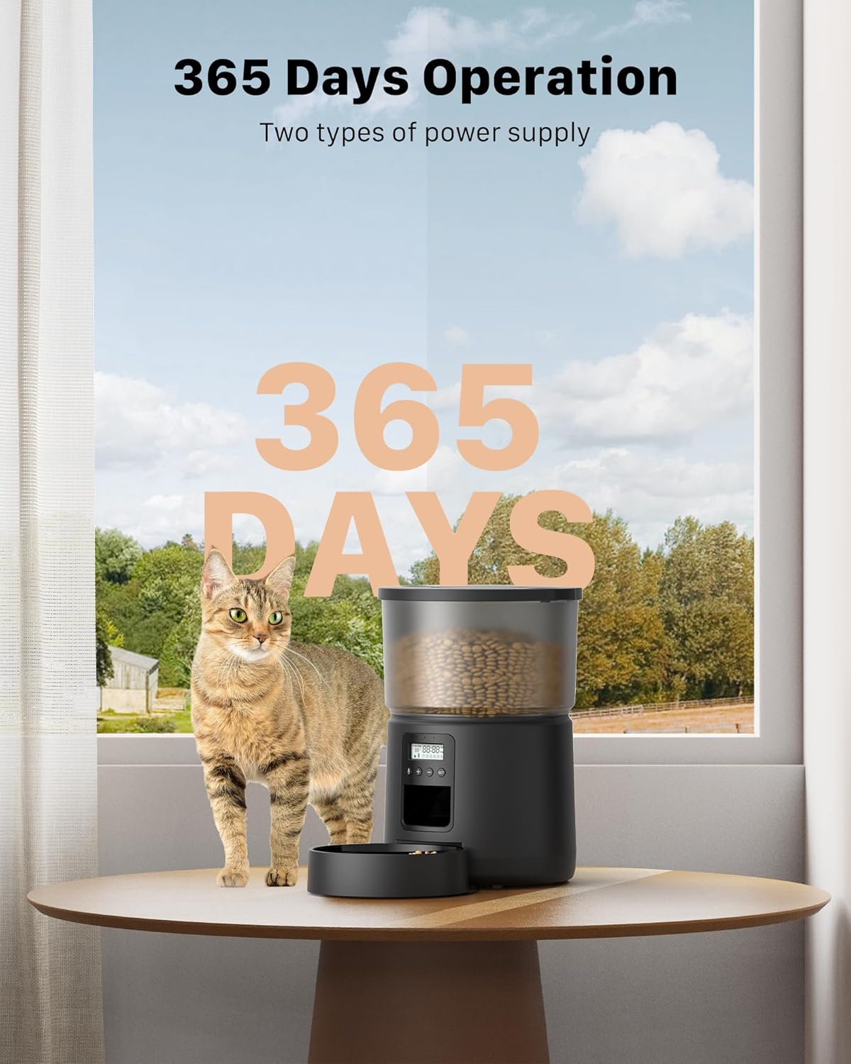 distributeur croquettes chat avec message vocal personnalisé 10 secondes