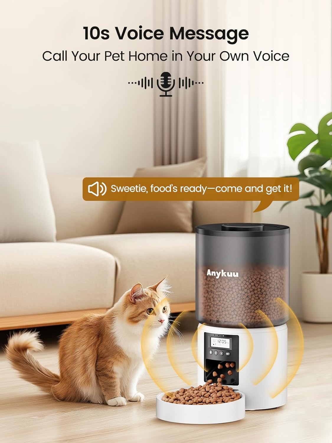 chat mangeant dans le distributeur automatique Anykuu 4L