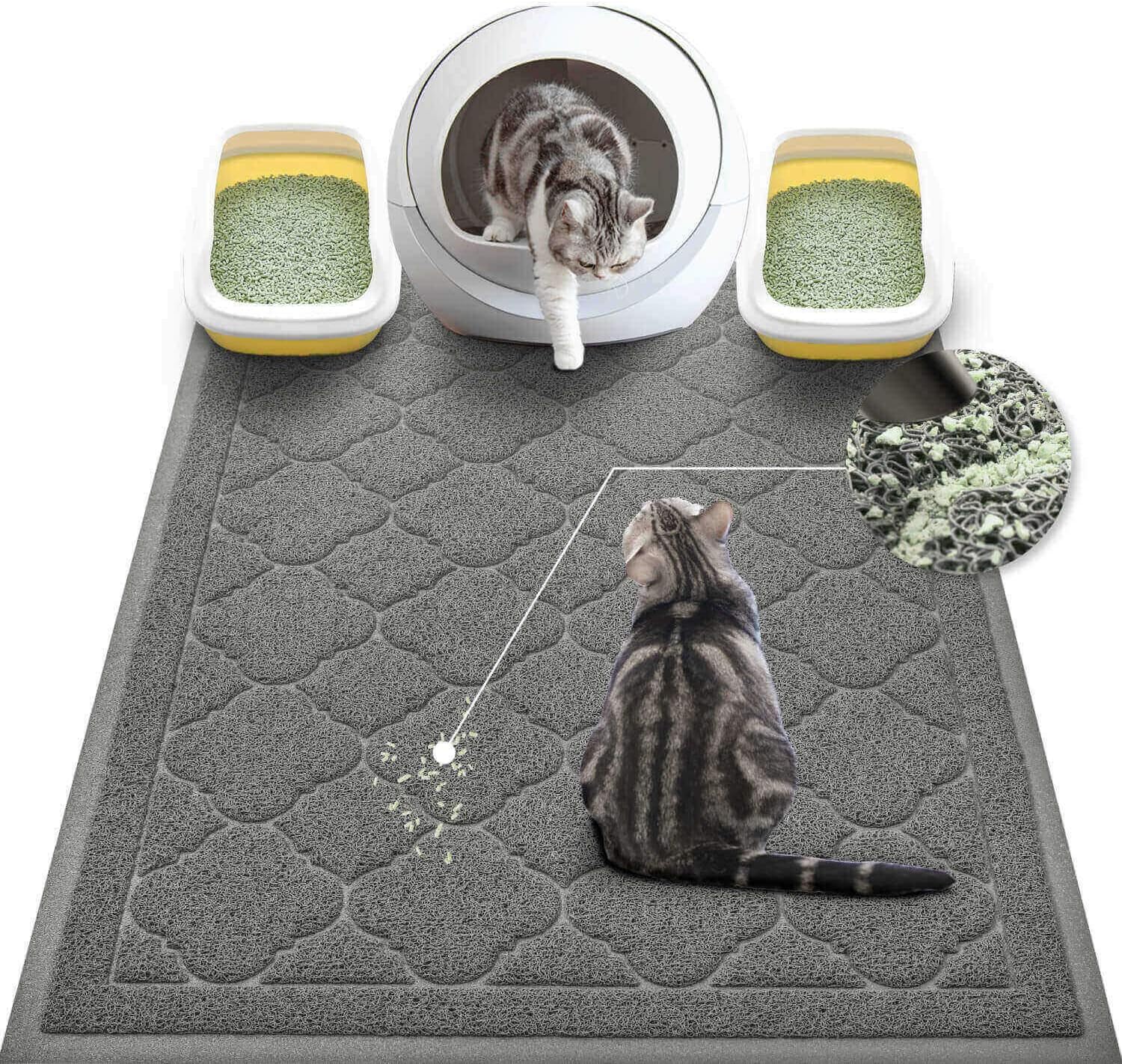chat marchant sur tapis XXL piégeant la litière
