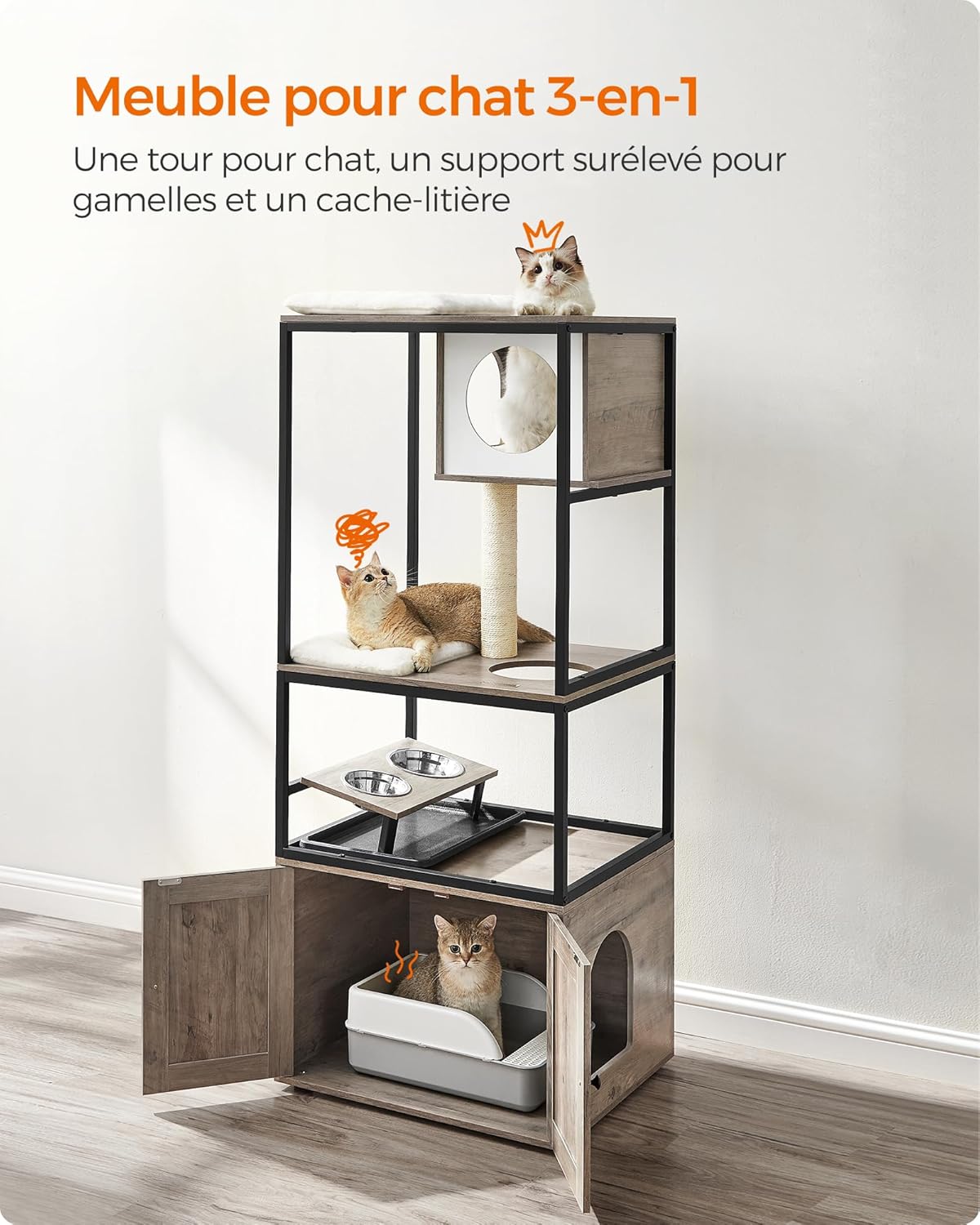 Chat confortablement installé dans la niche de l’arbre