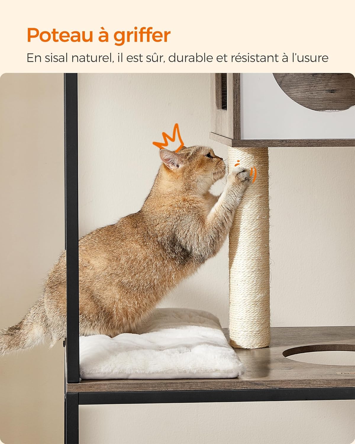 Gamelles surélevées pour chat protégées des chiens