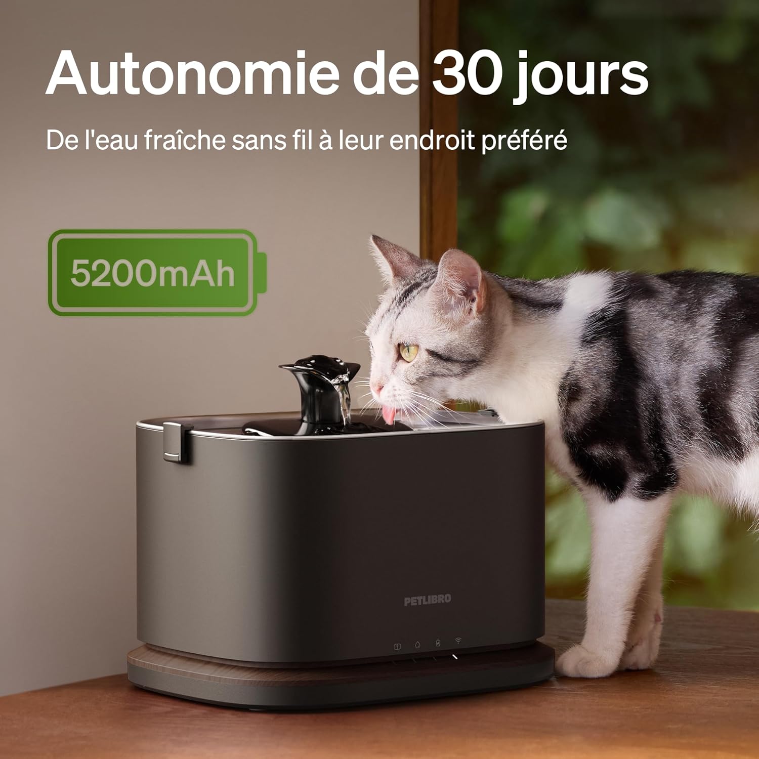 Chat buvant à la fontaine sans fil PETLIBRO avec jet d’eau clair