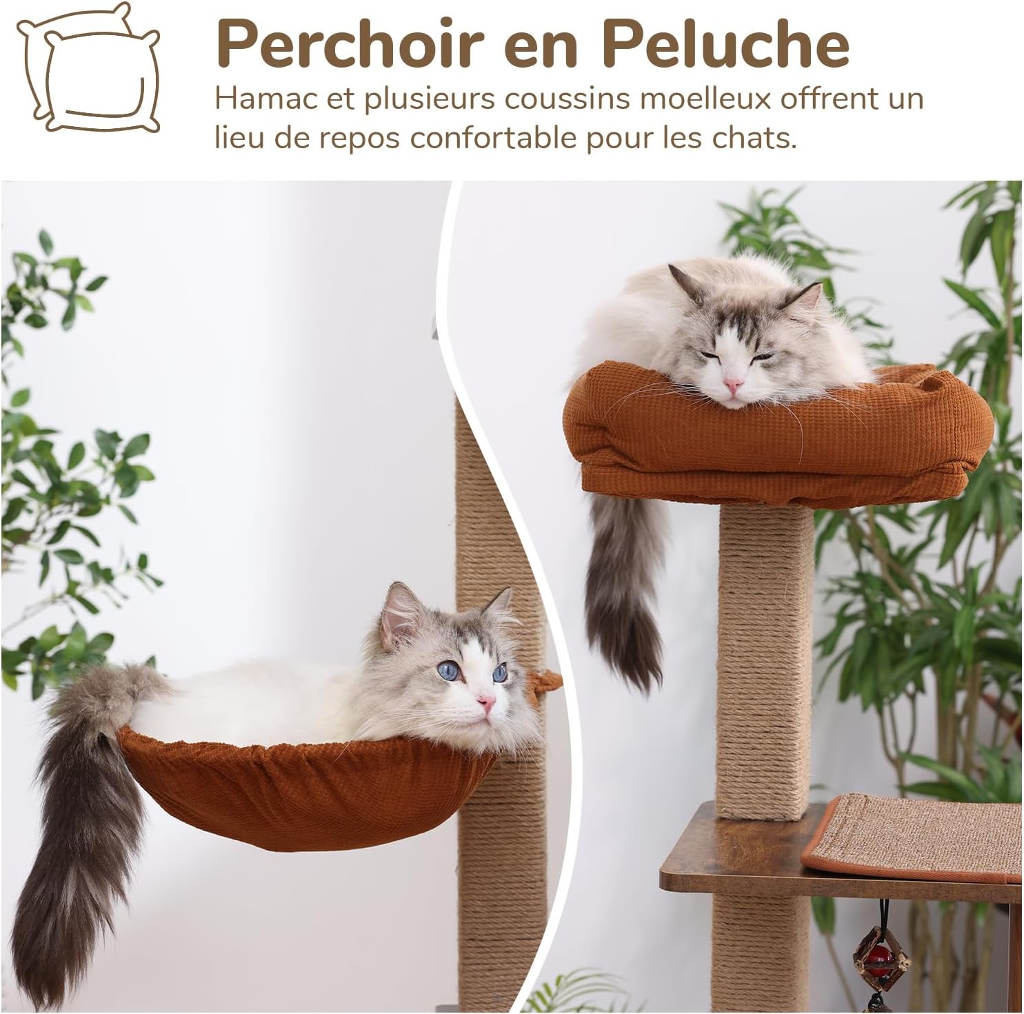 arbre à chat avec niche semi-fermée et coussins amovibles