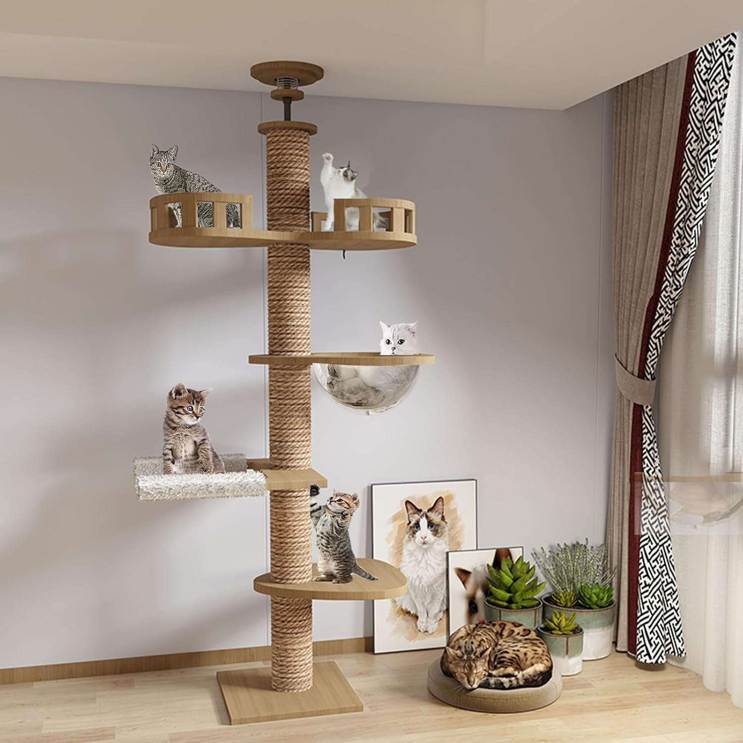 Vue de l’ensemble design moderne arbre à chat bois